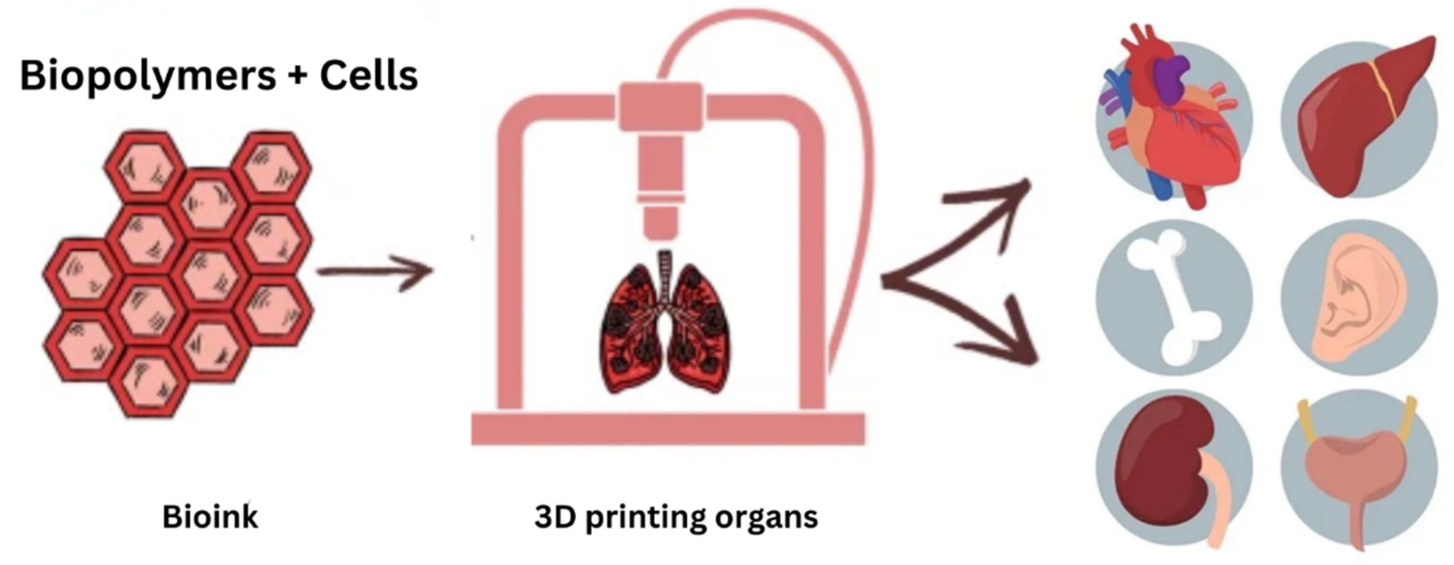 Polymers 15 02519 g005 Polymers 15 02519 g005