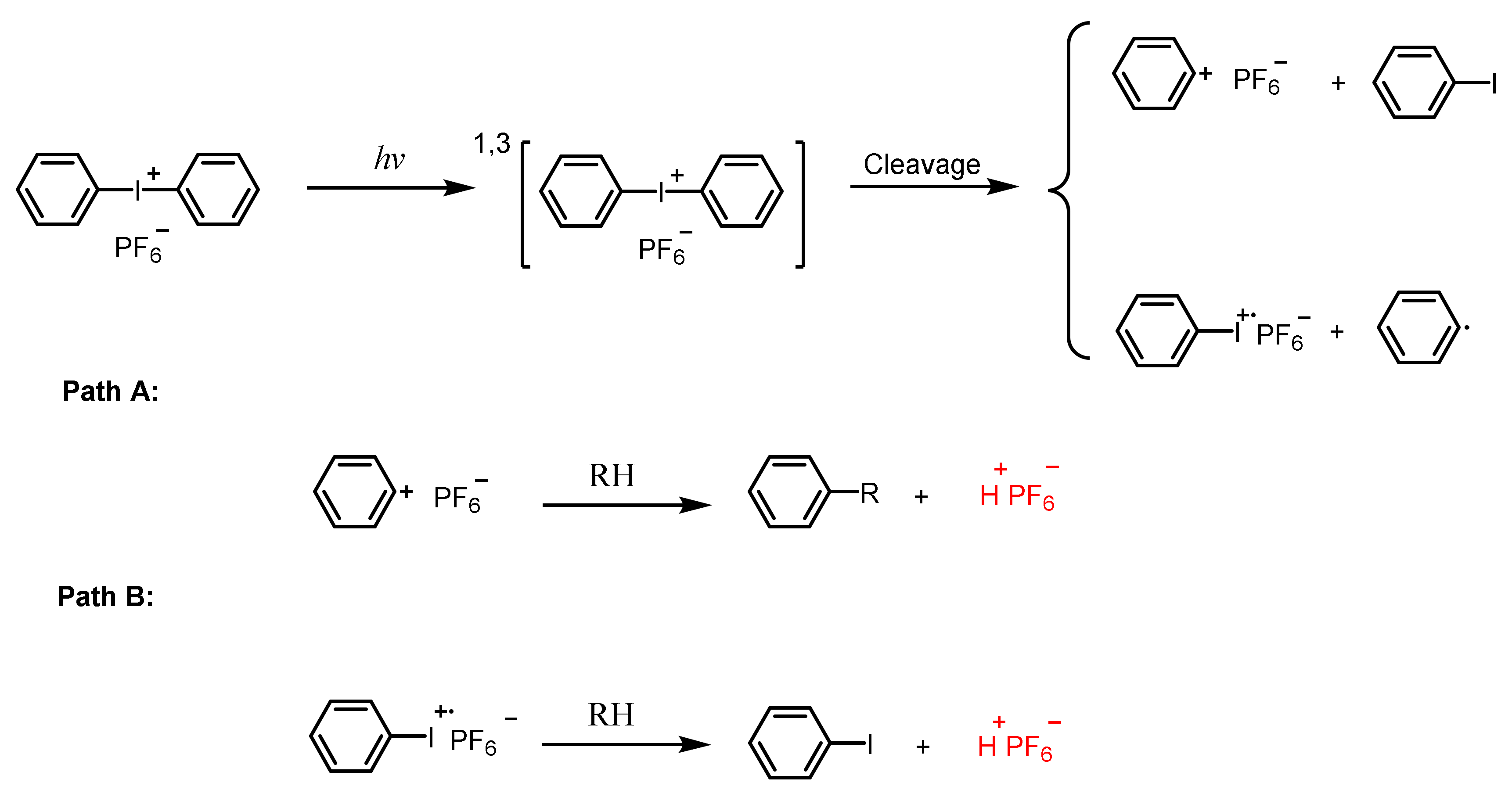 Polymers 15 02524 sch004