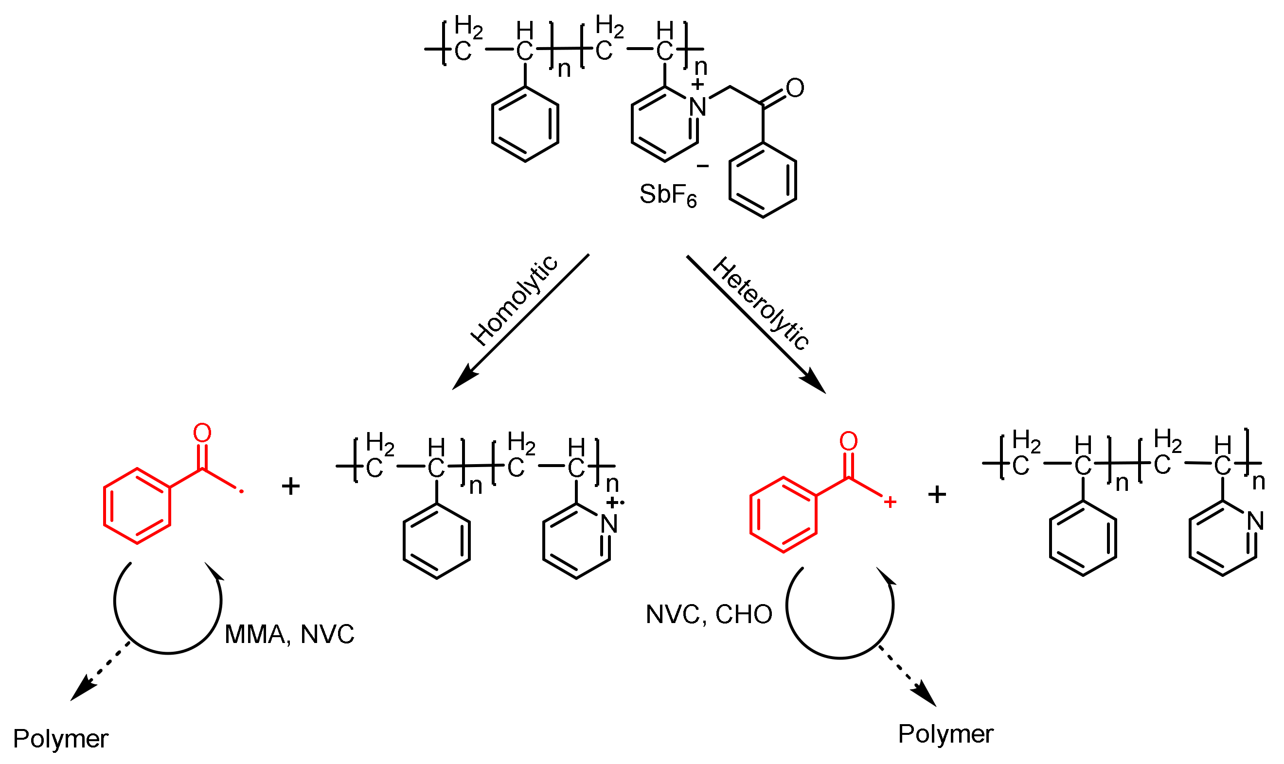 Polymers 15 02524 sch012