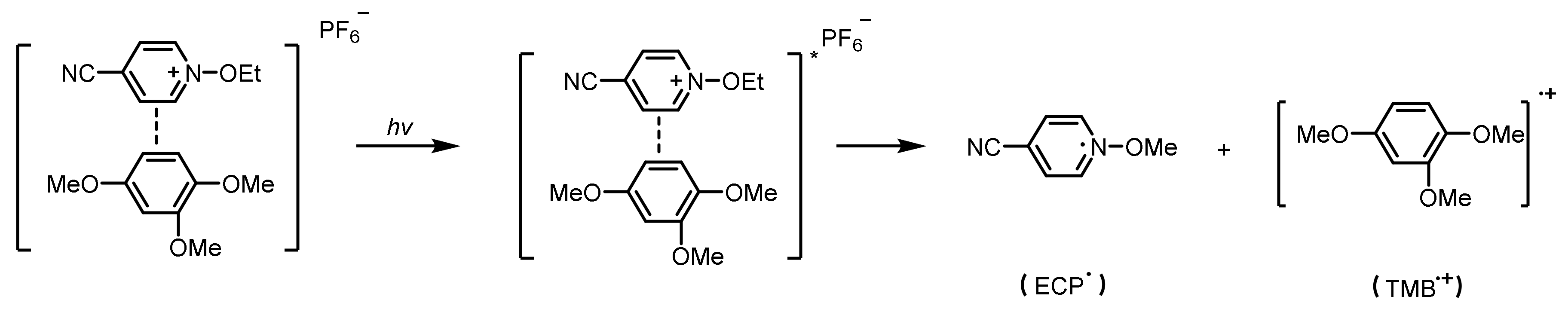 Polymers 15 02524 sch017