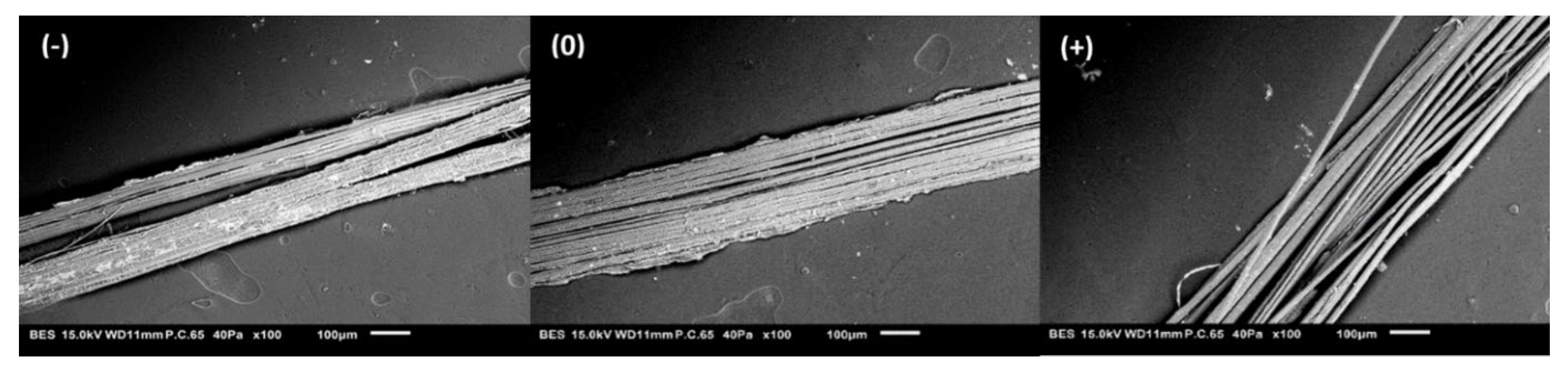 Polymers 15 02531 g004