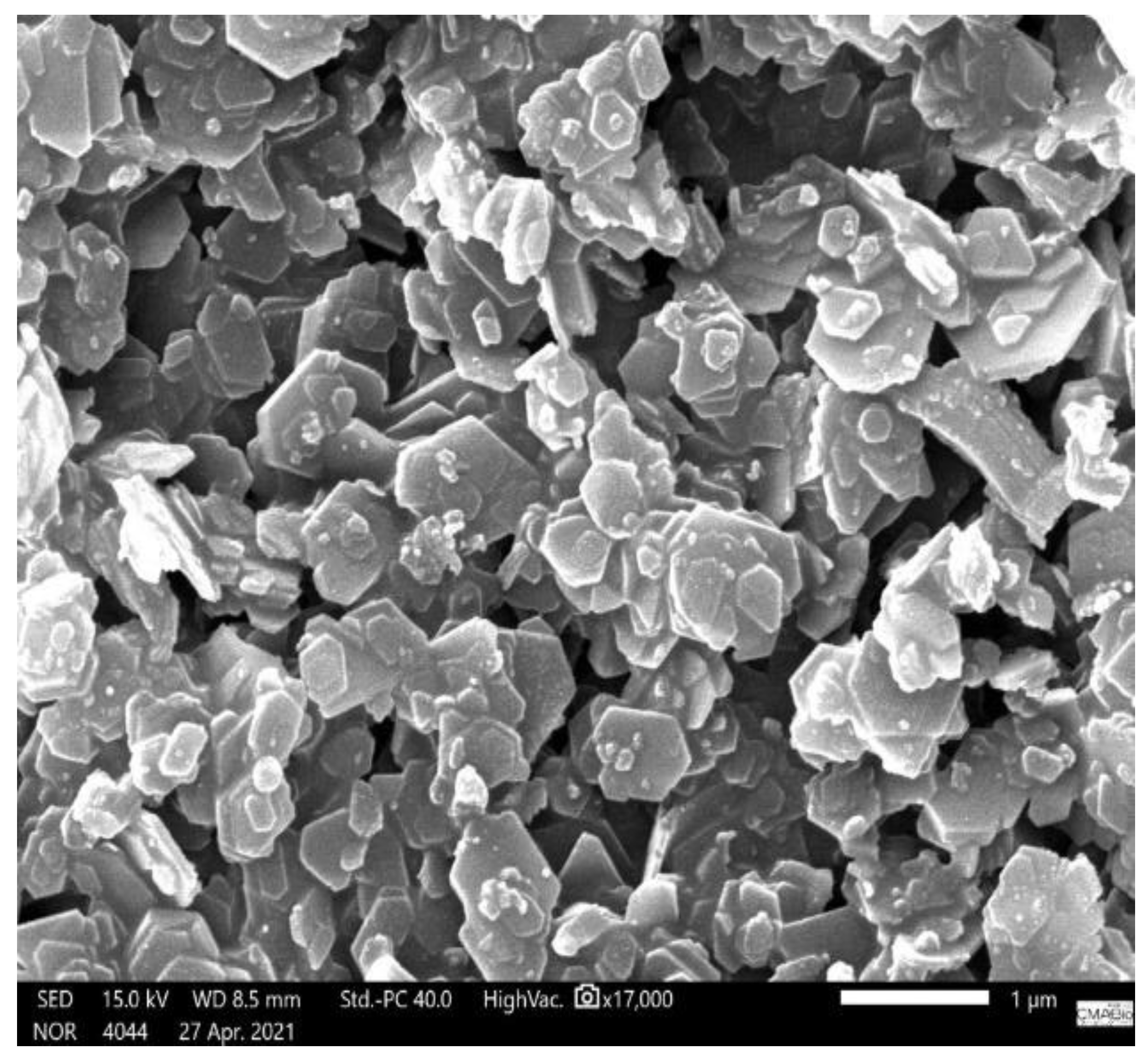 Polymers 15 02532 g007