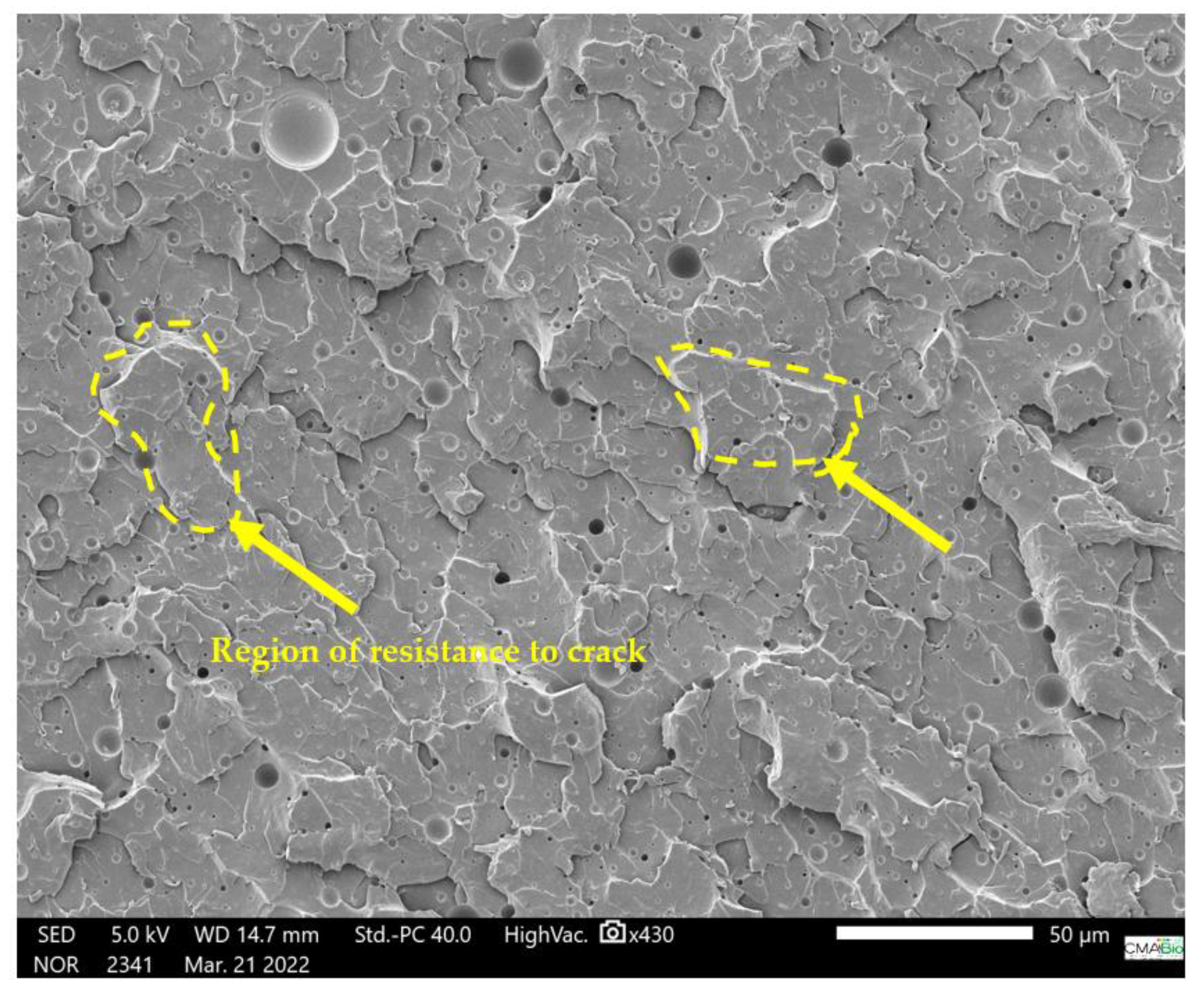 Polymers 15 02532 g008