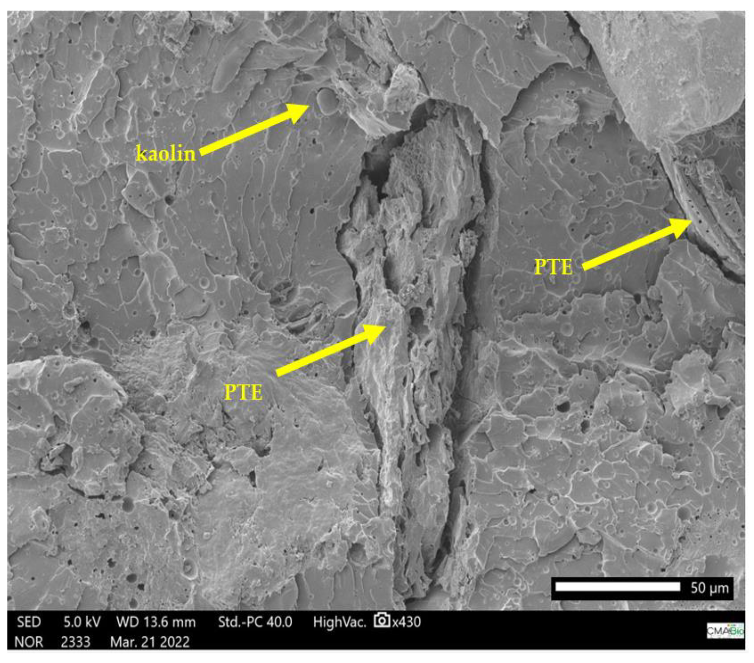 Polymers 15 02532 g009