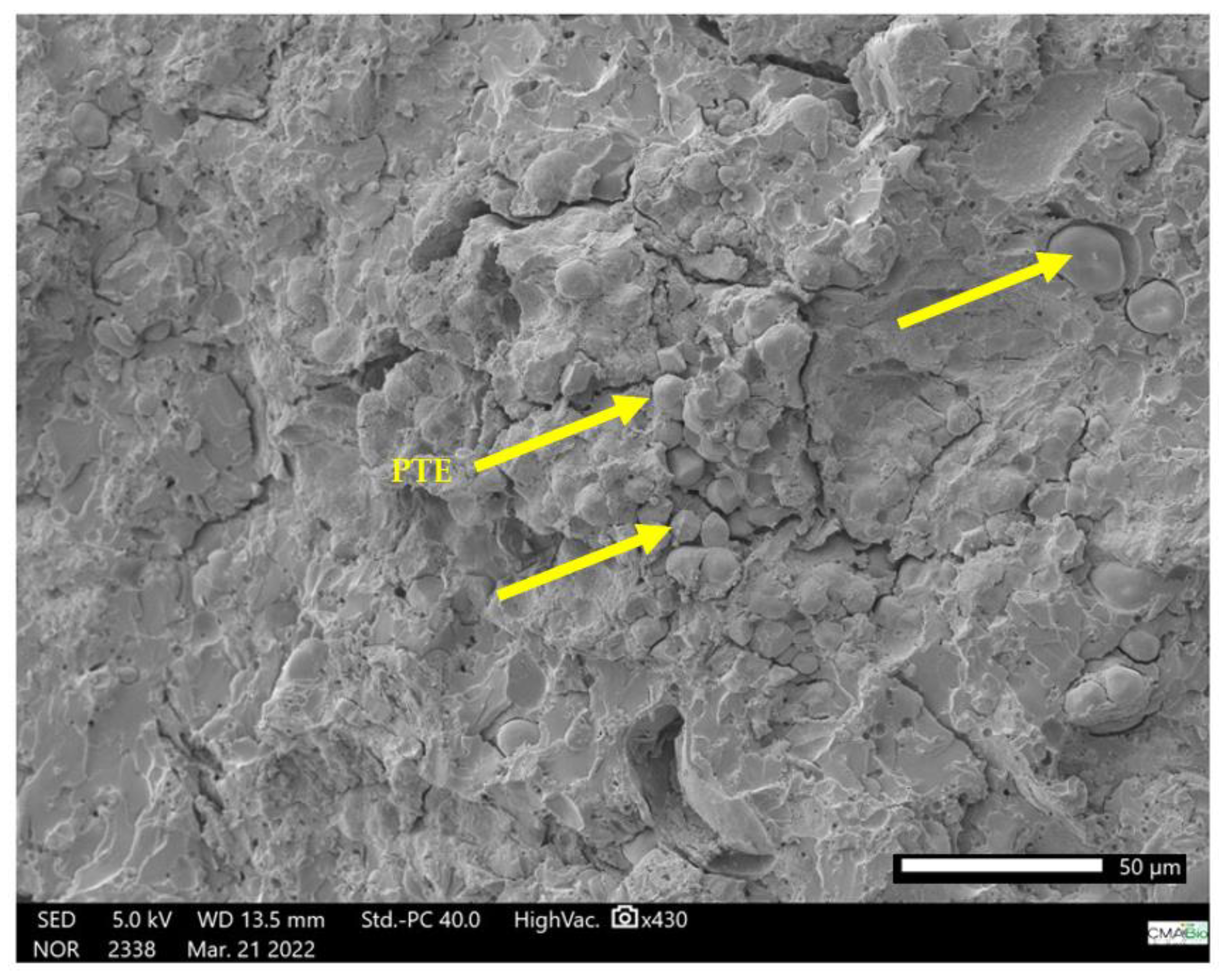 Polymers 15 02532 g011