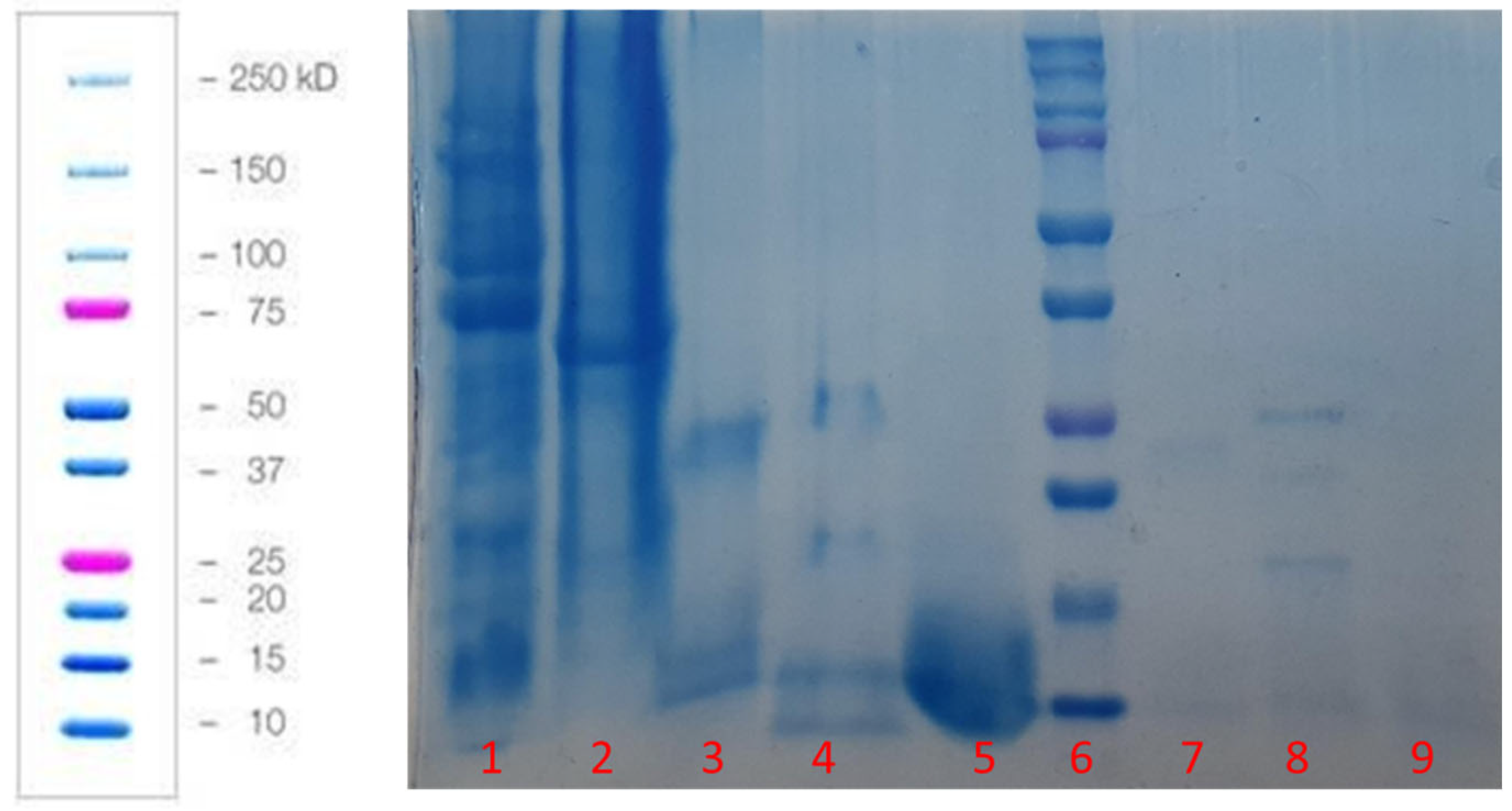 Polymers 15 02546 g003