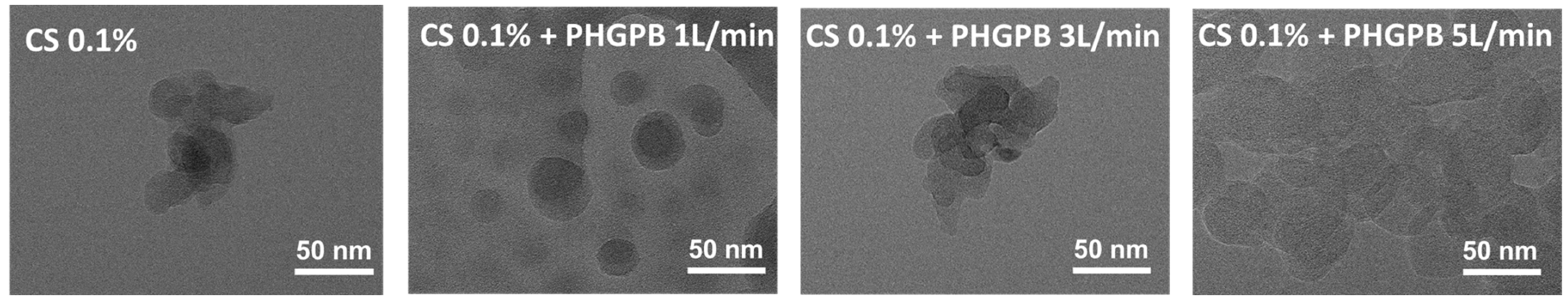 Polymers 15 02546 g010