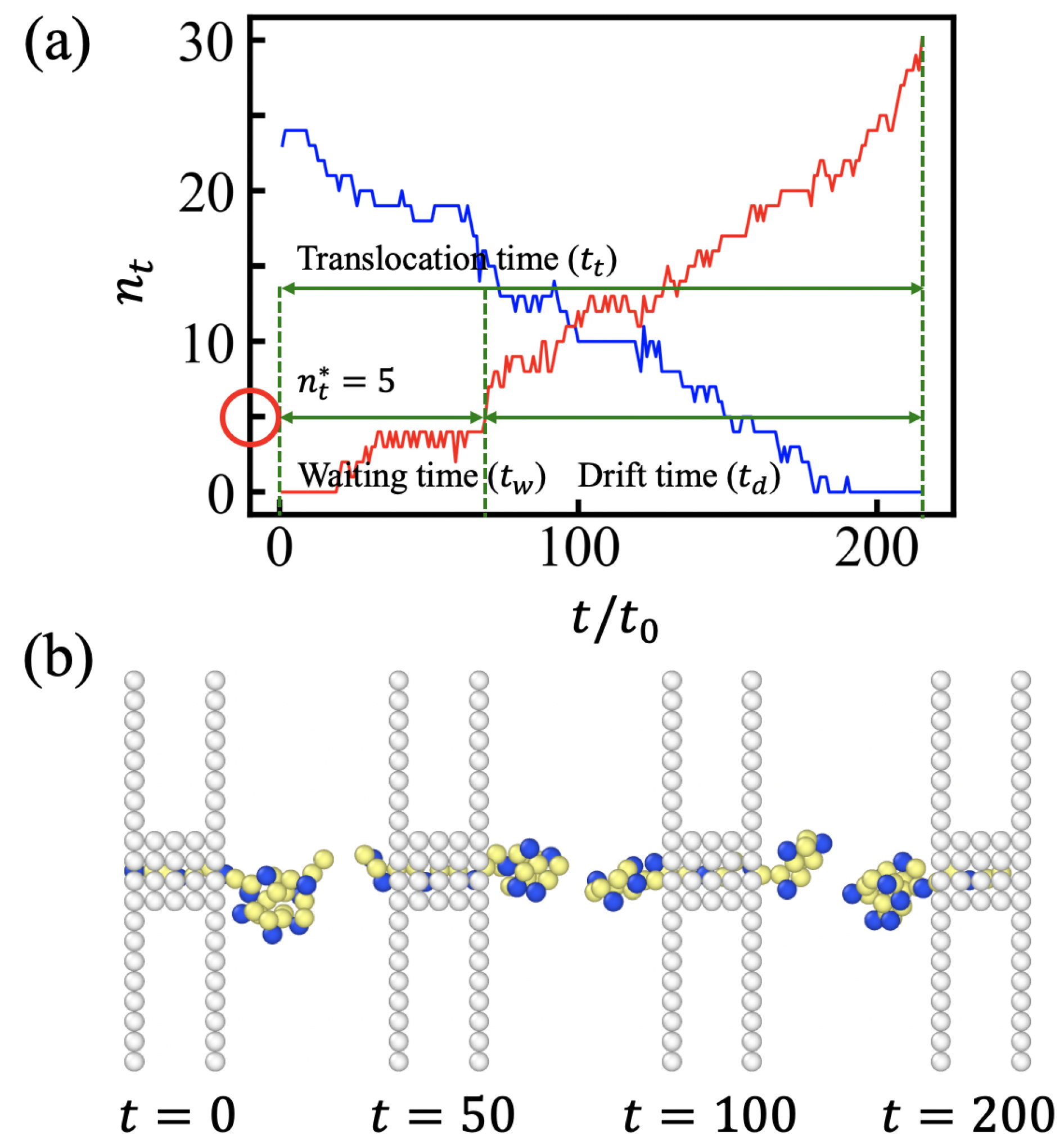 Polymers 15 02550 g004
