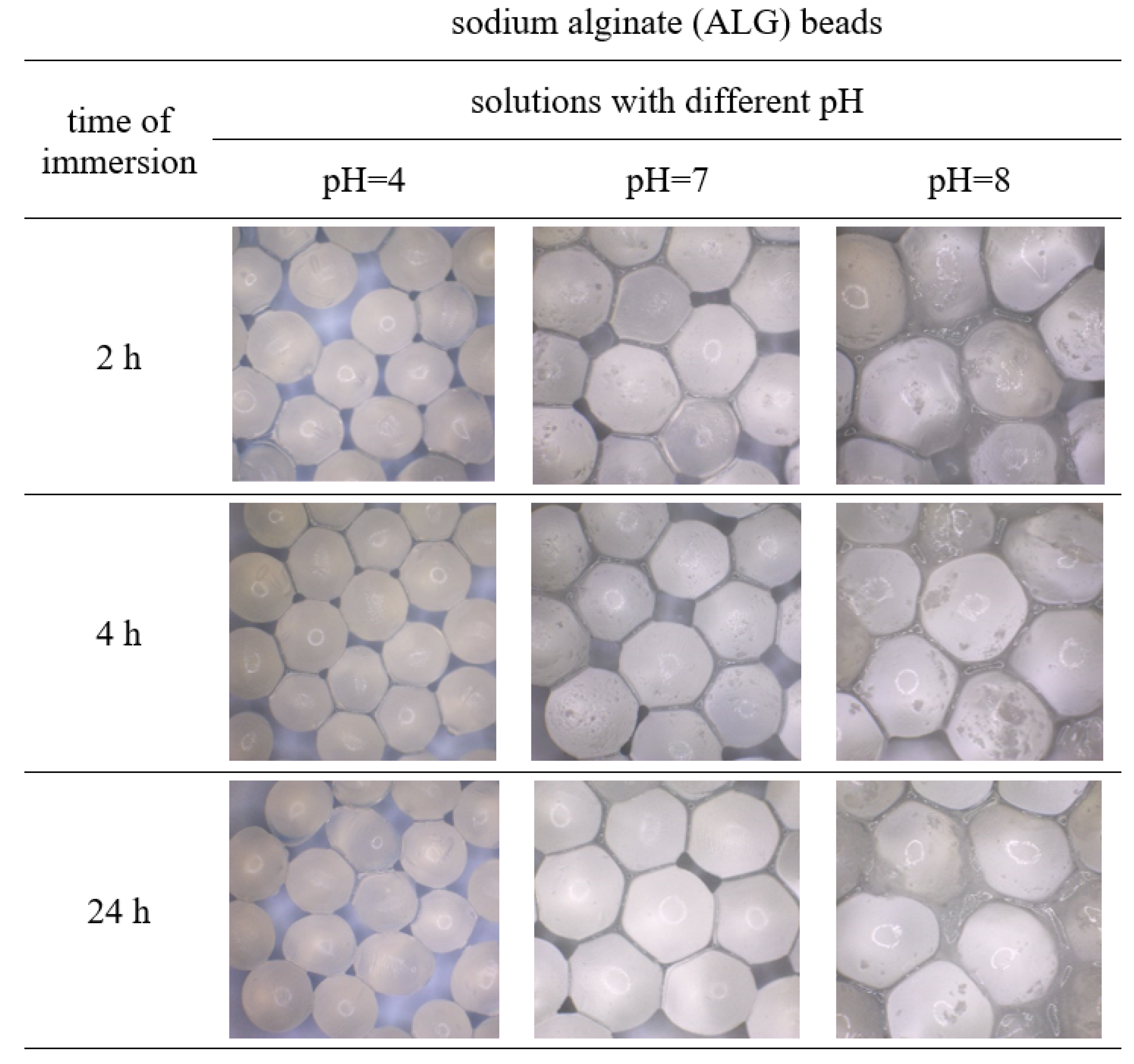 Polymers 15 02568 g003 Polymers 15 02568 g003