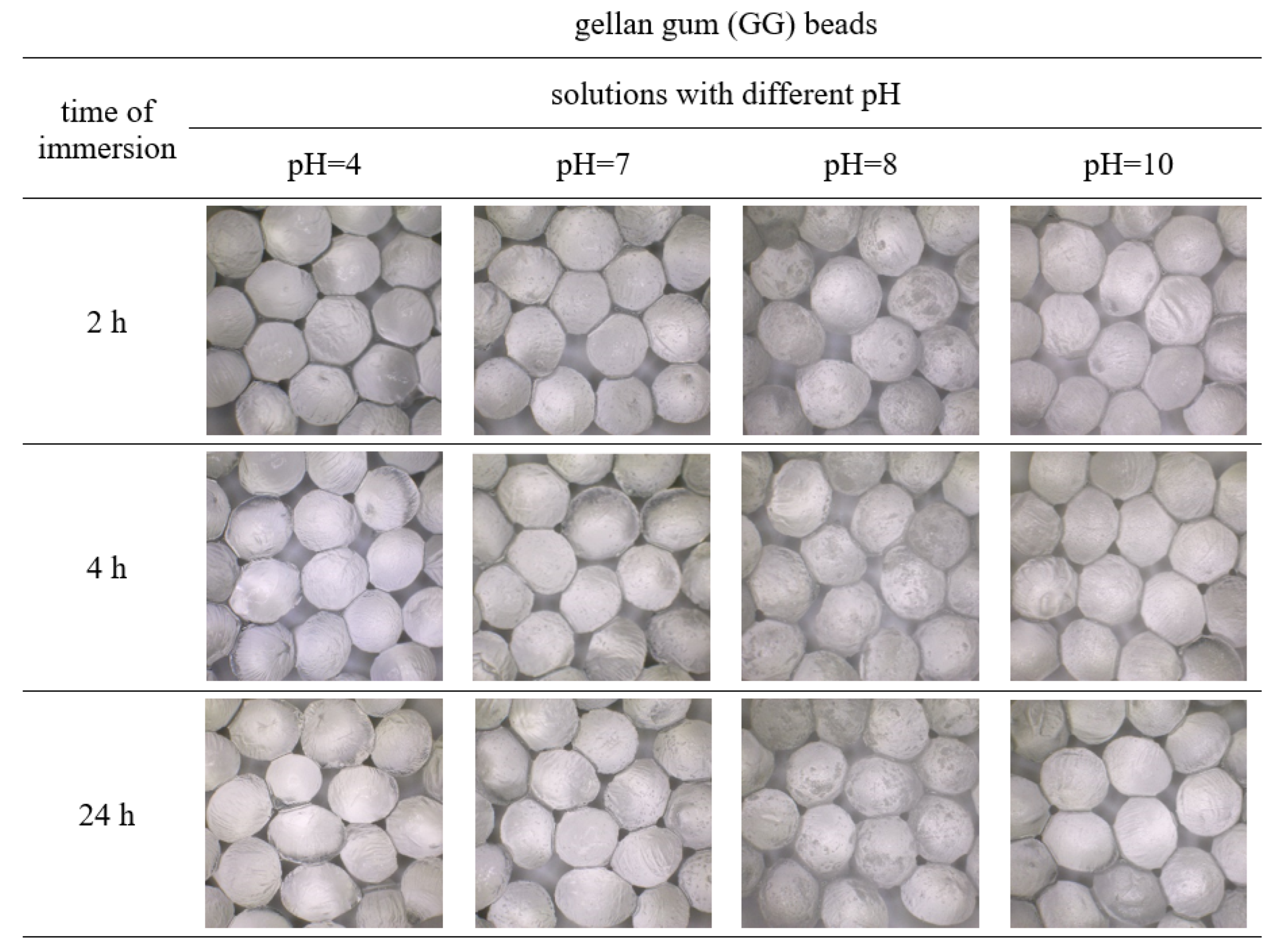 Polymers 15 02568 g004 Polymers 15 02568 g004