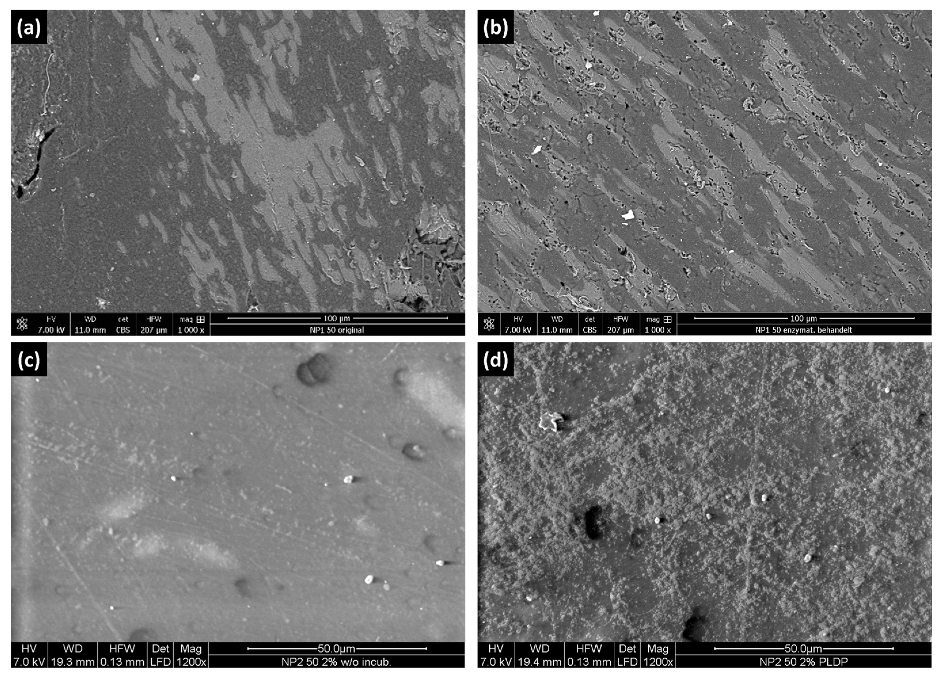 Polymers 15 02593 g006 Polymers 15 02593 g006