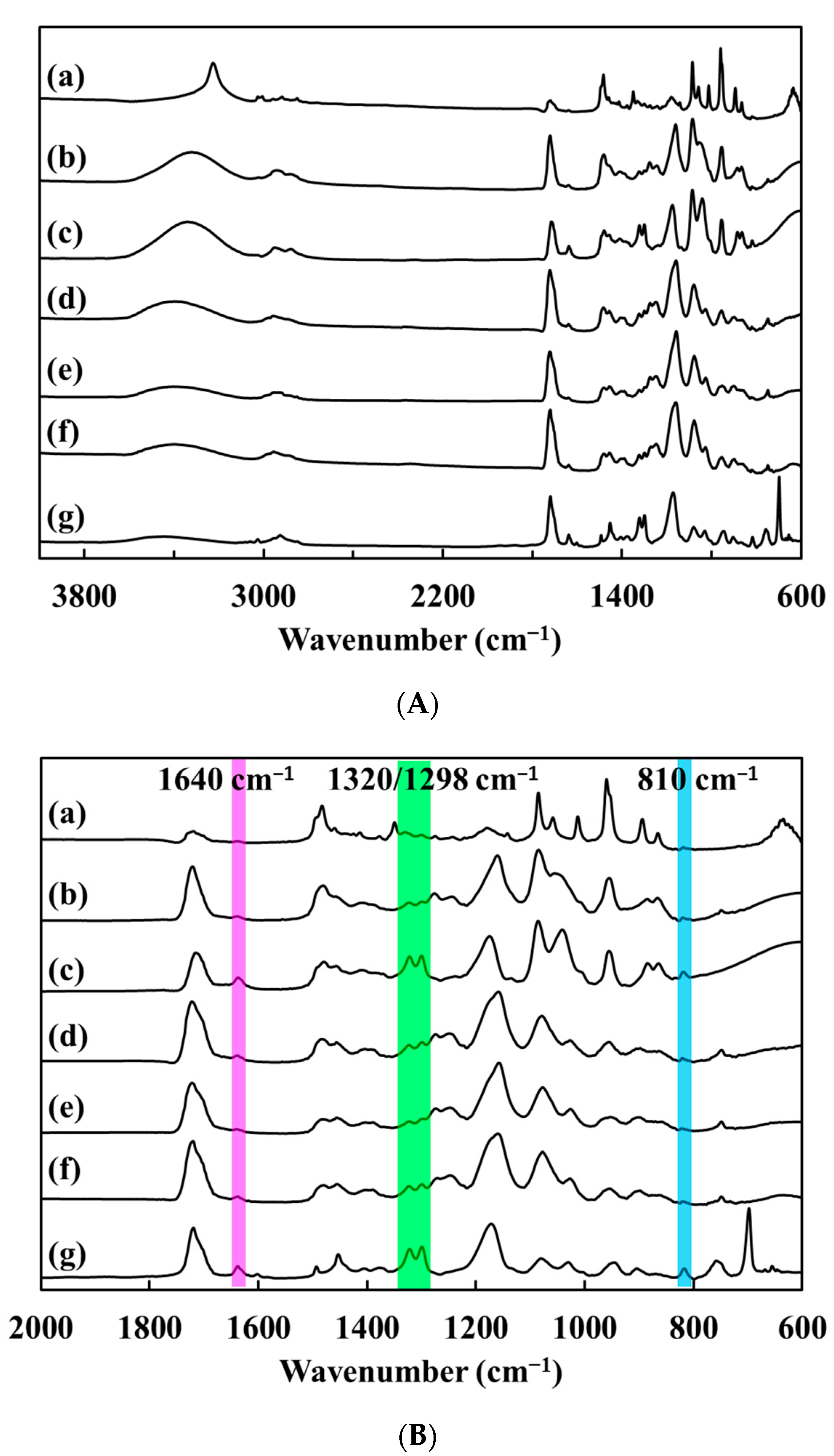 Polymers 15 02605 g003