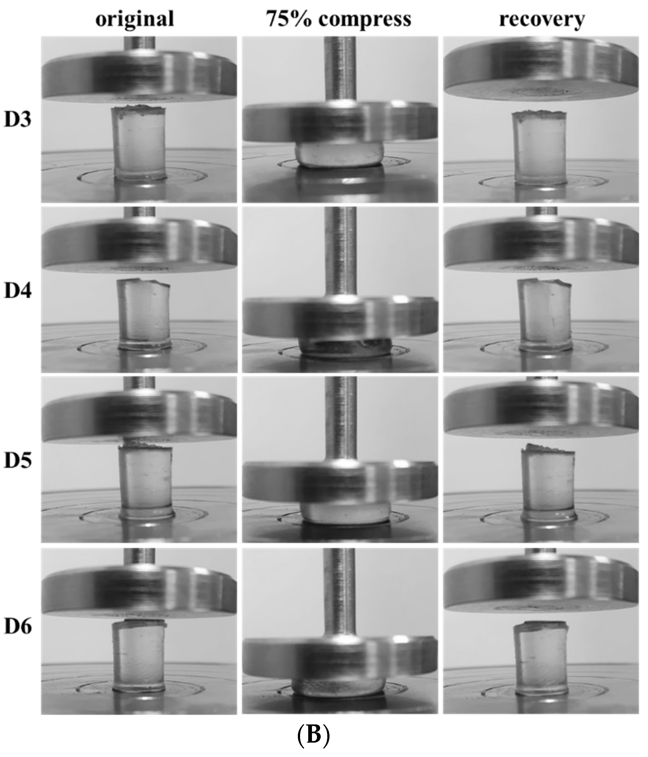 Polymers 15 02605 g004b