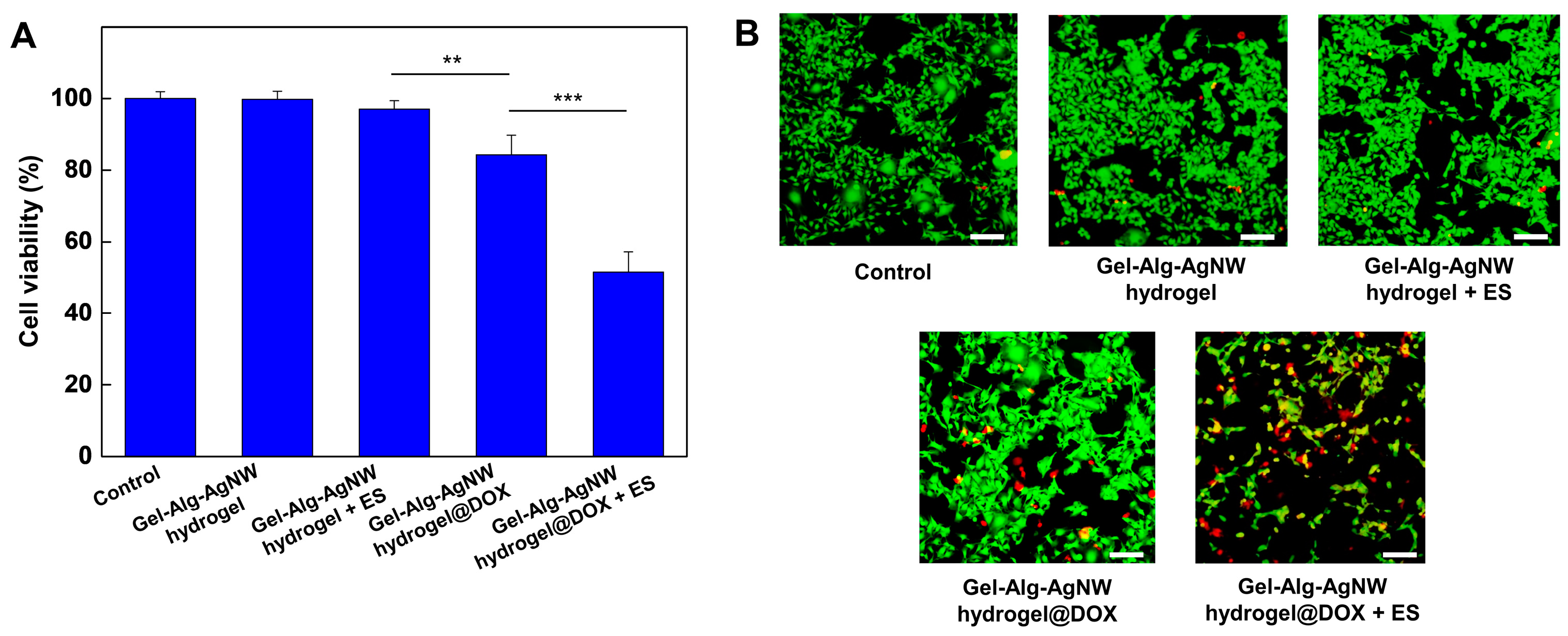 Polymers 15 02608 g004
