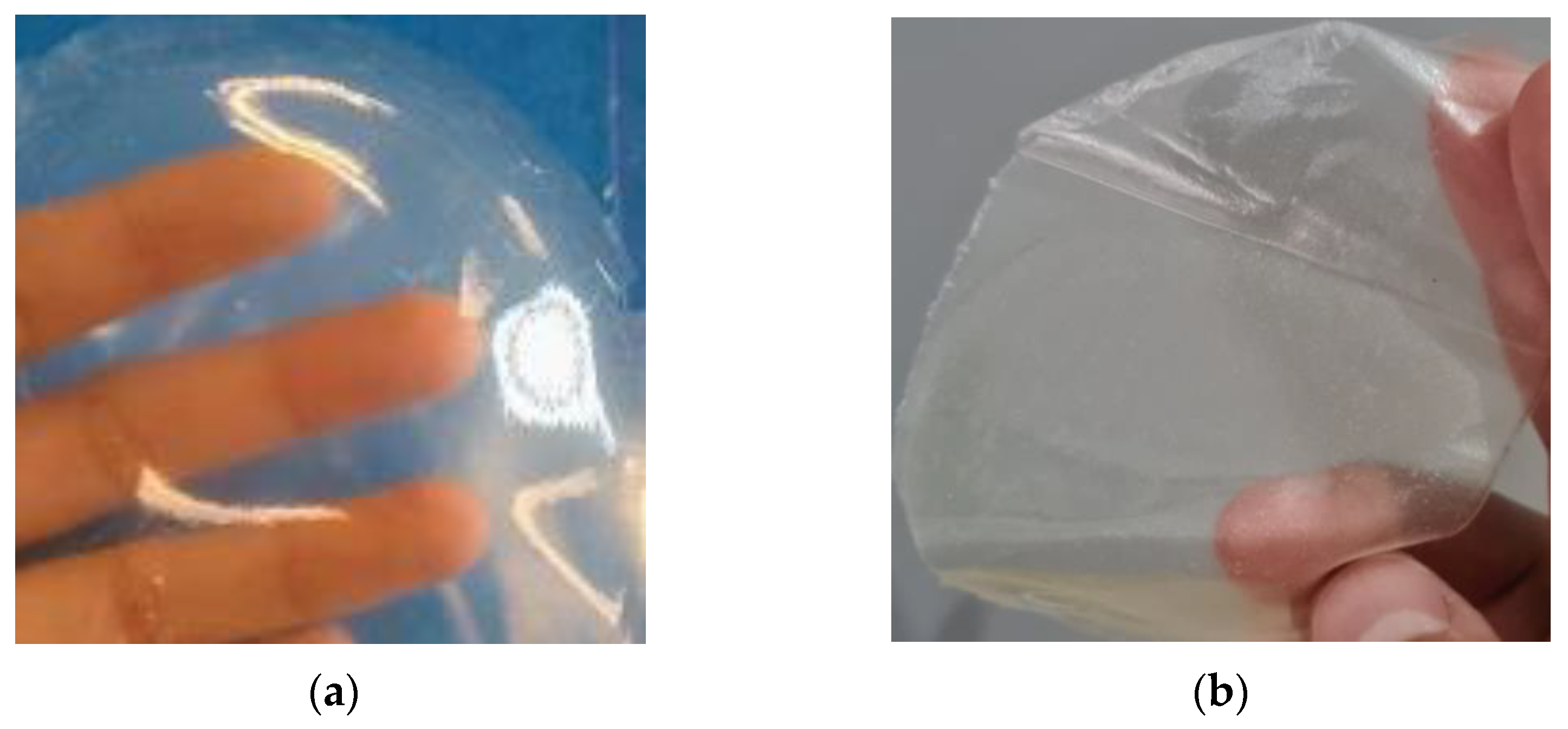 Polymers 15 02610 g001 Polymers 15 02610 g001
