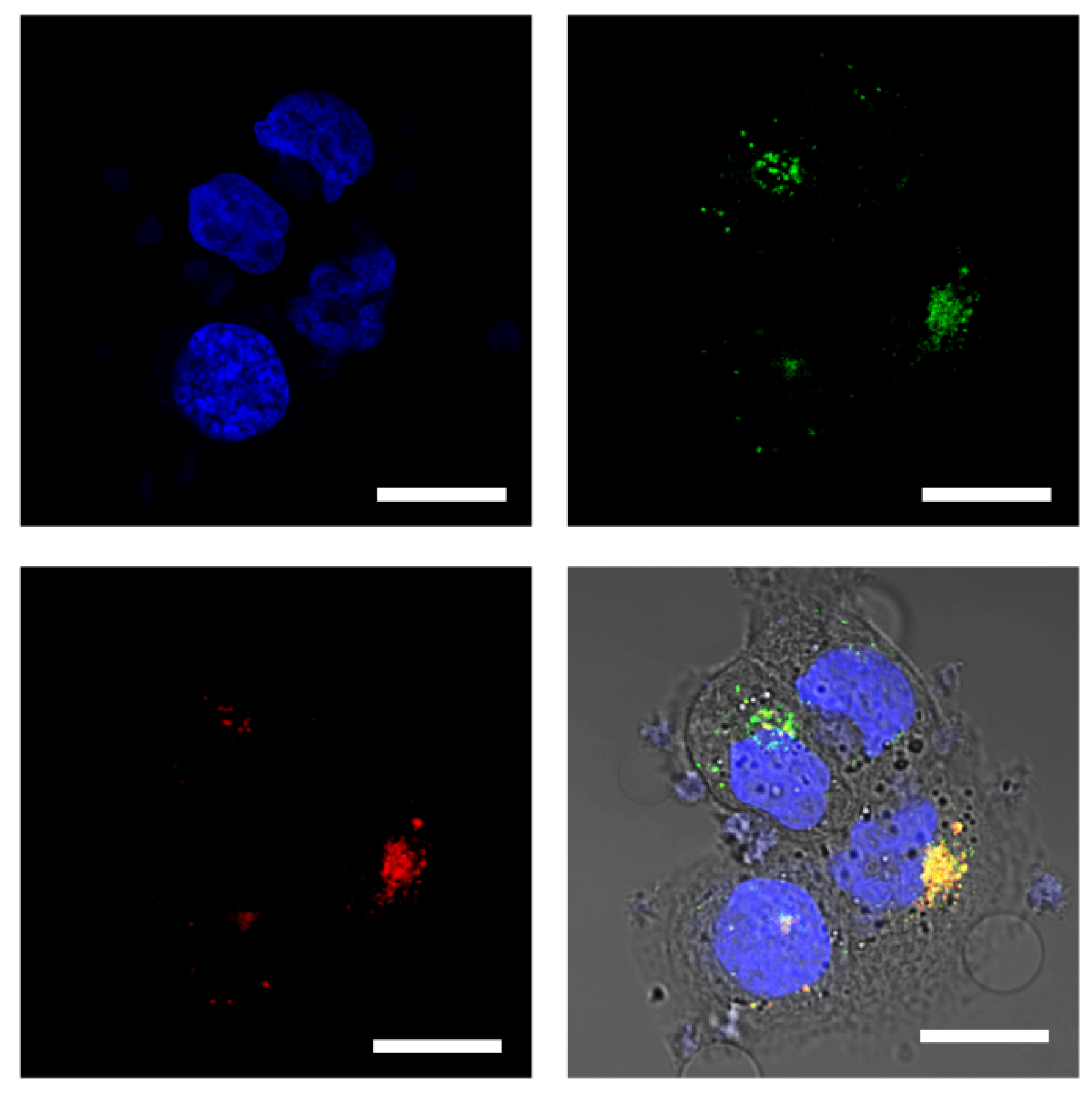 Polymers 15 02626 g002 Polymers 15 02626 g002