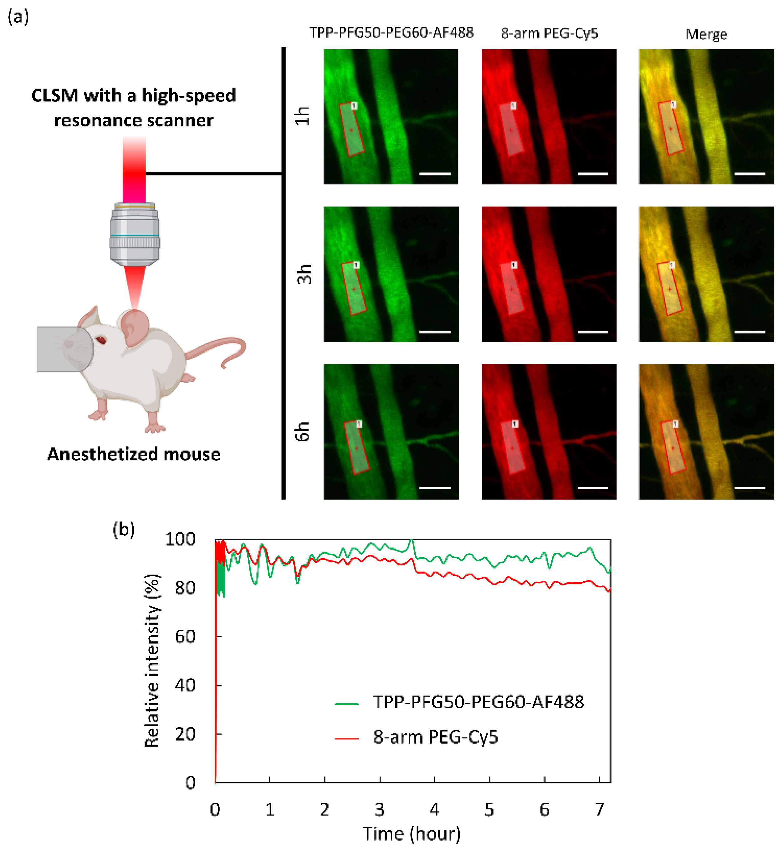 Polymers 15 02626 g003 Polymers 15 02626 g003