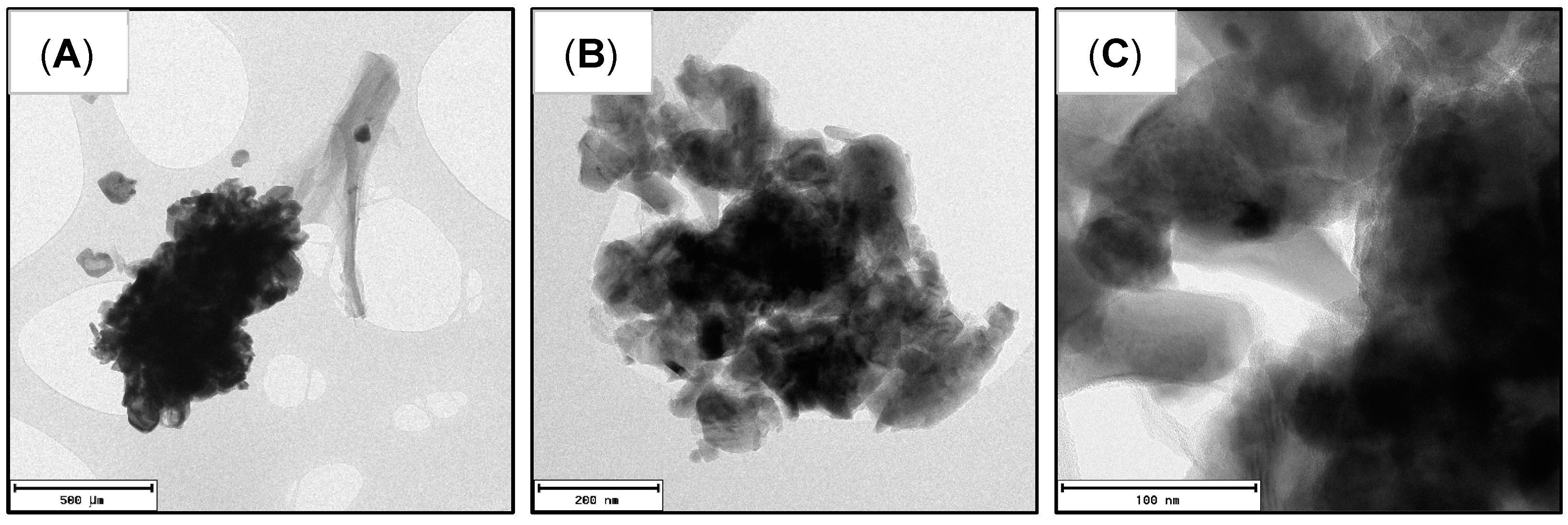 Polymers 15 02628 g006