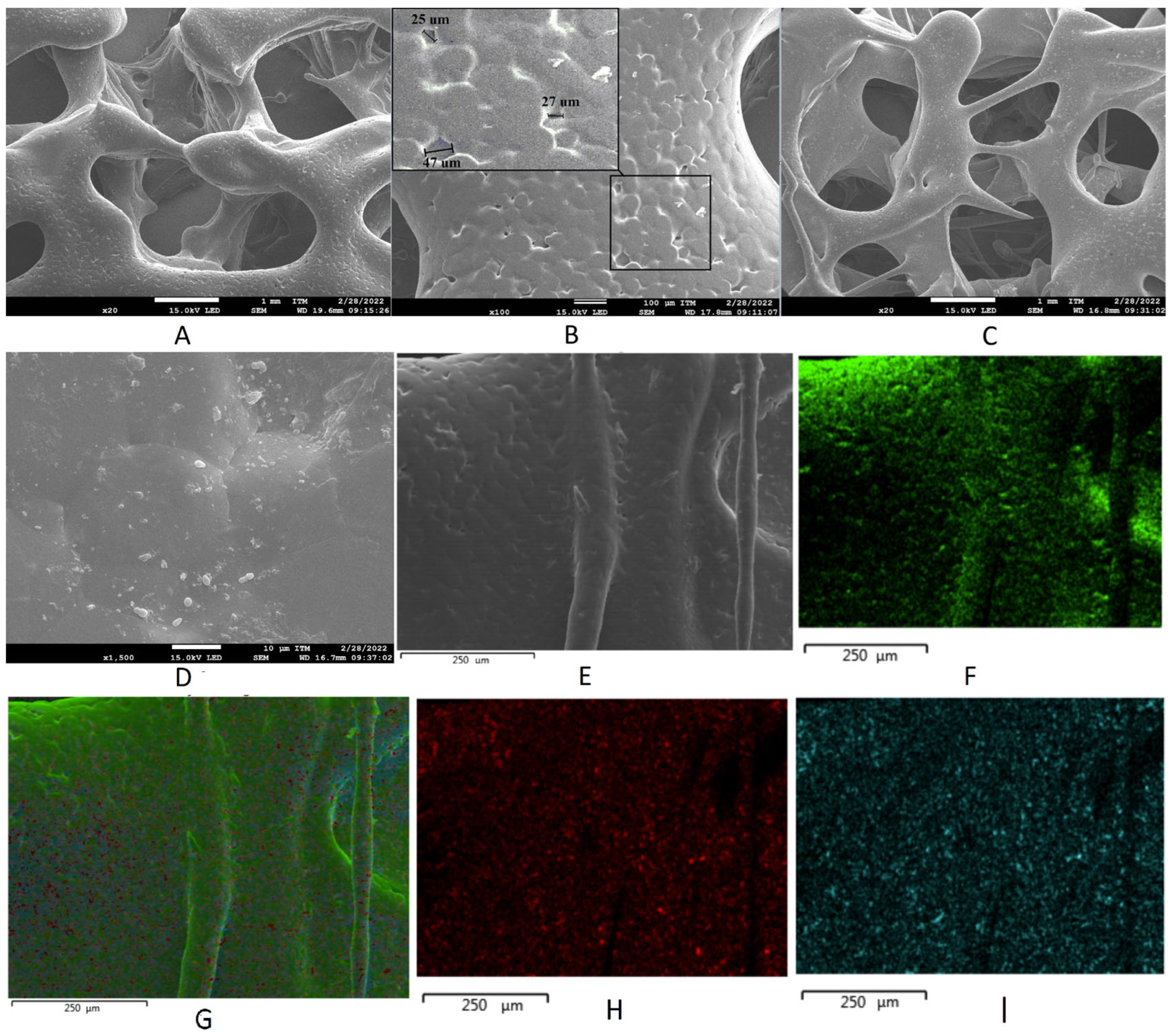 Polymers 15 02629 g002 Polymers 15 02629 g002