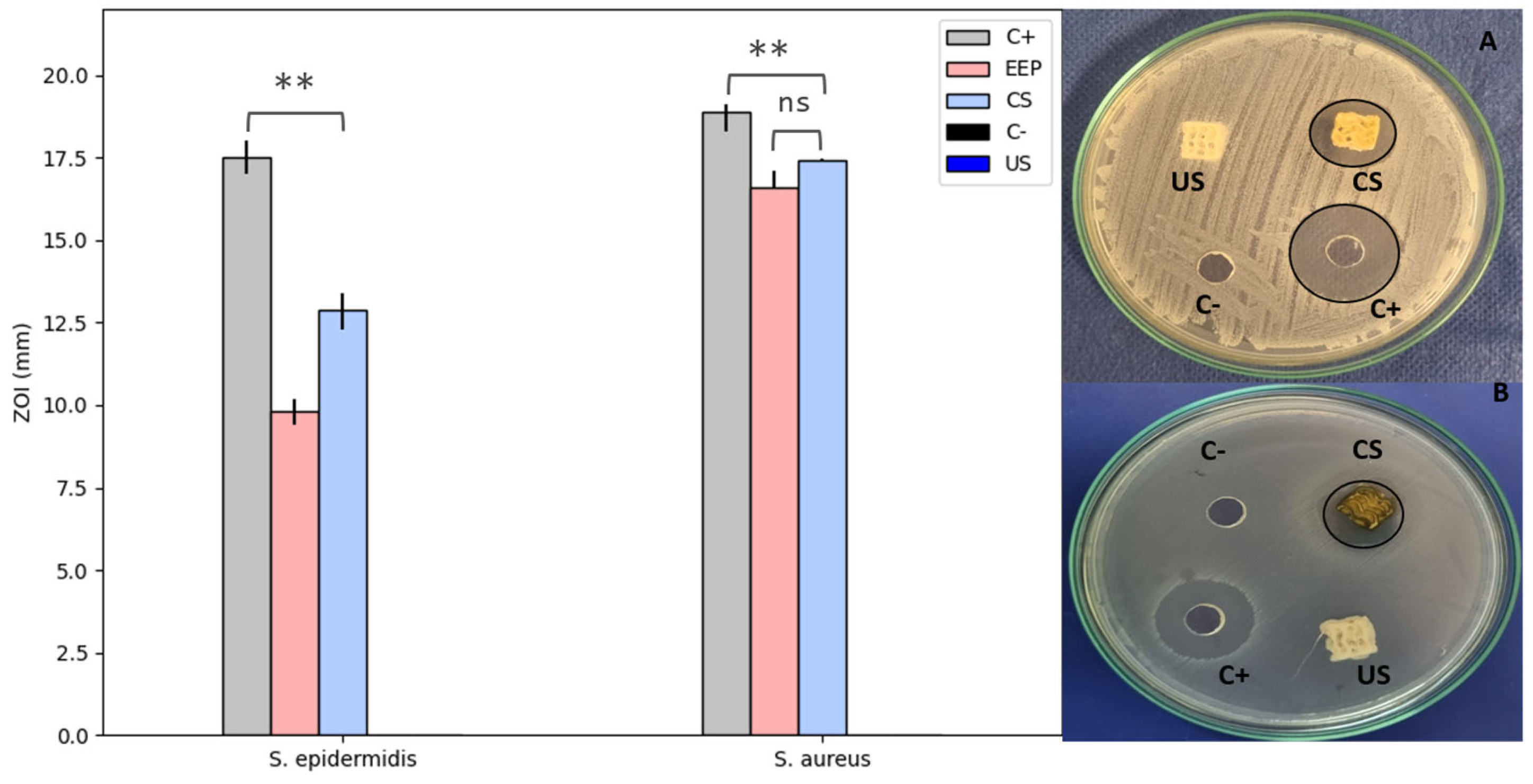 Polymers 15 02629 g008 Polymers 15 02629 g008