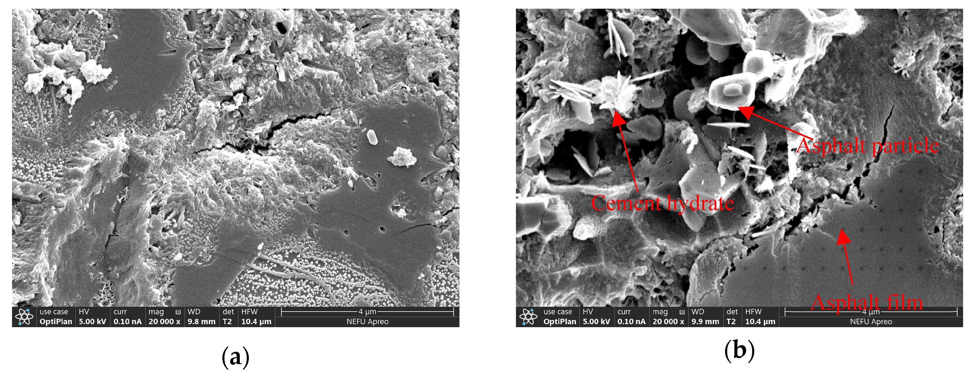 Polymers 15 02631 g016