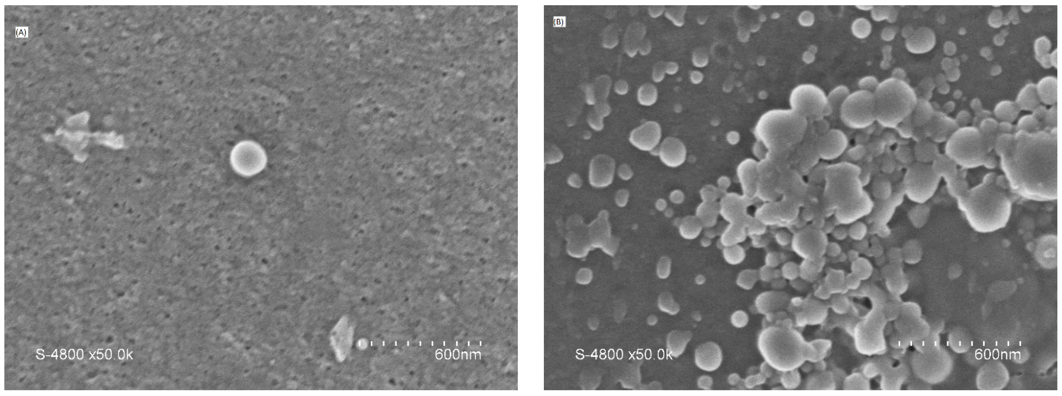 Polymers 15 02636 g005 Polymers 15 02636 g005