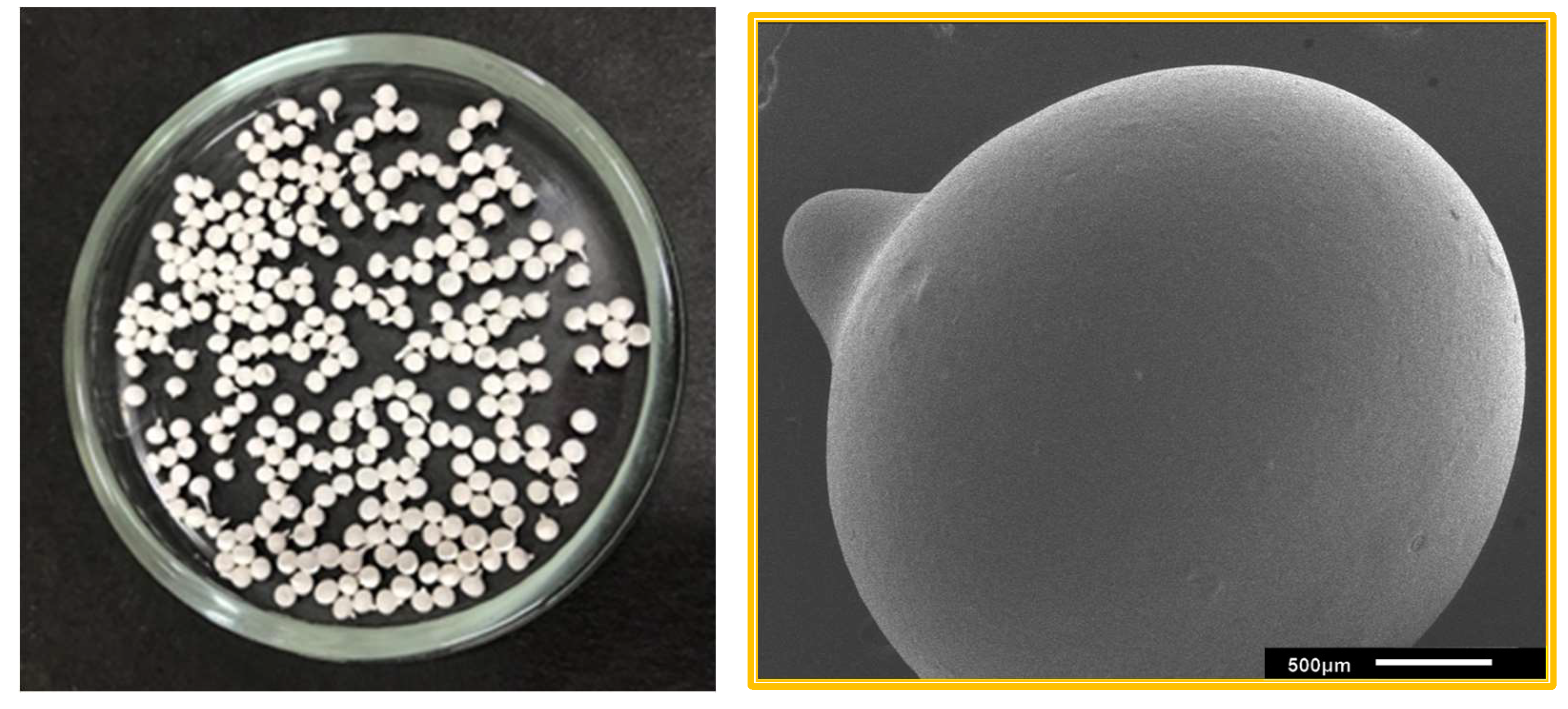 Polymers 15 02643 g001