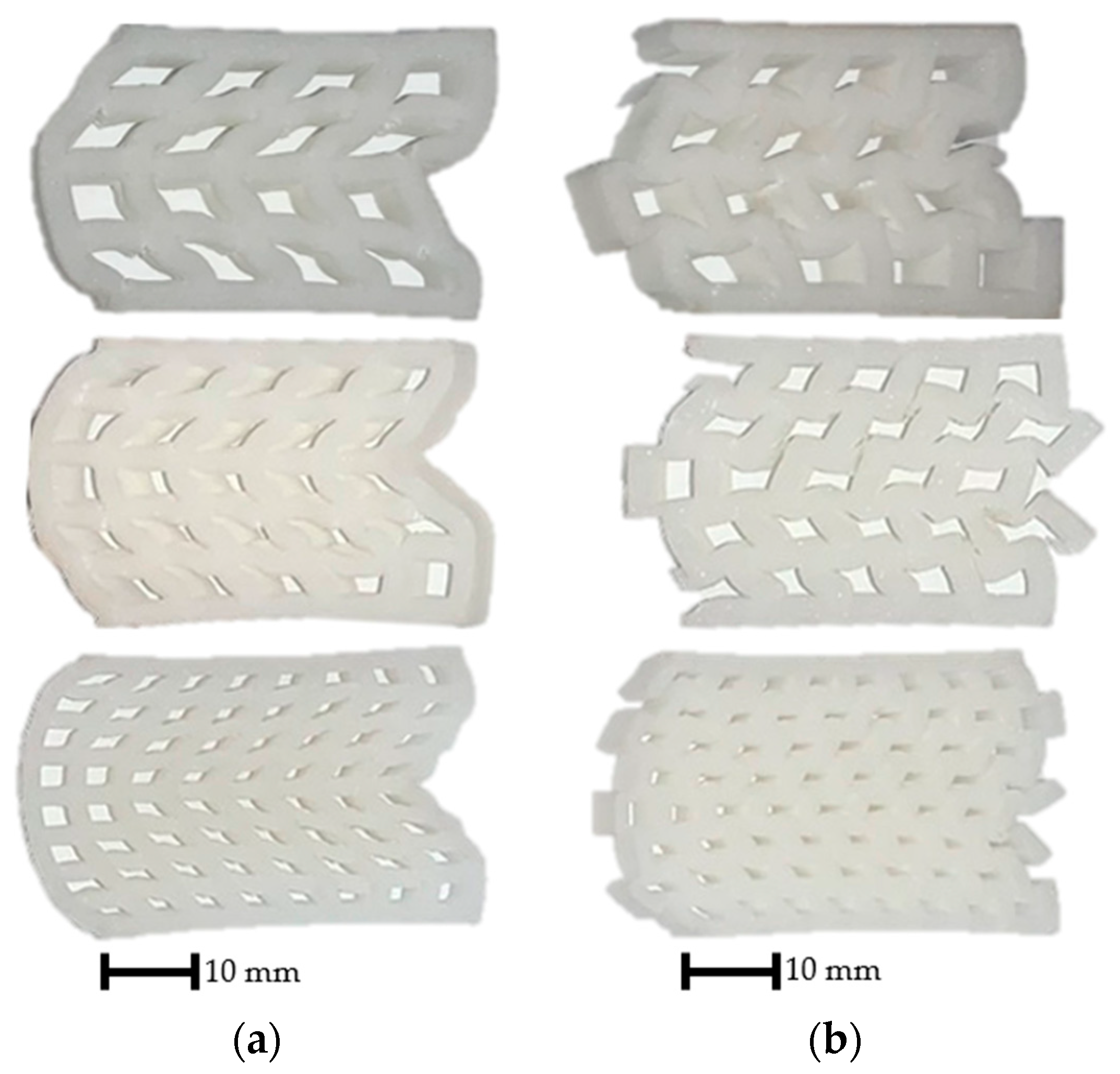 Polymers 15 02650 g007
