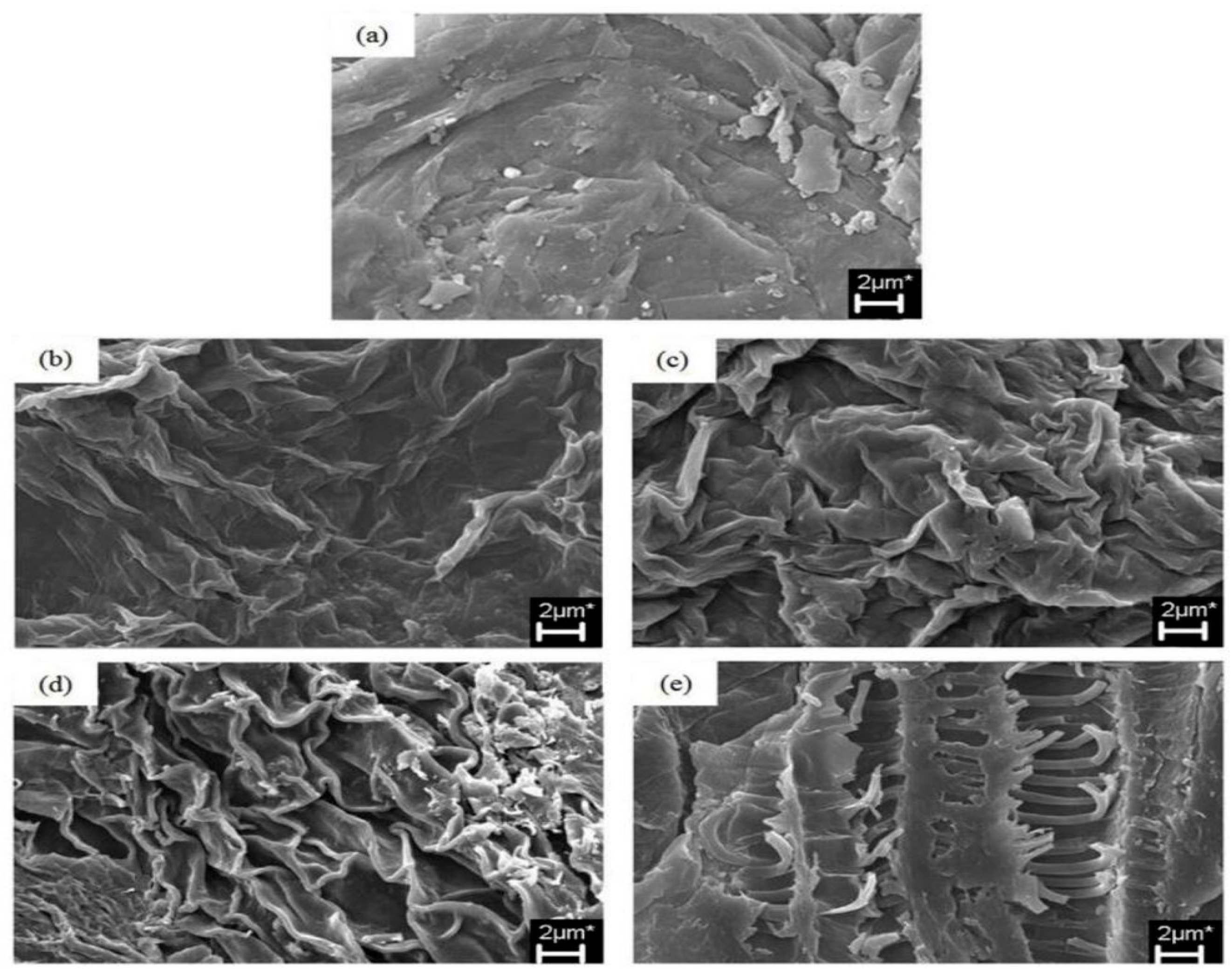 Polymers 15 02654 g001