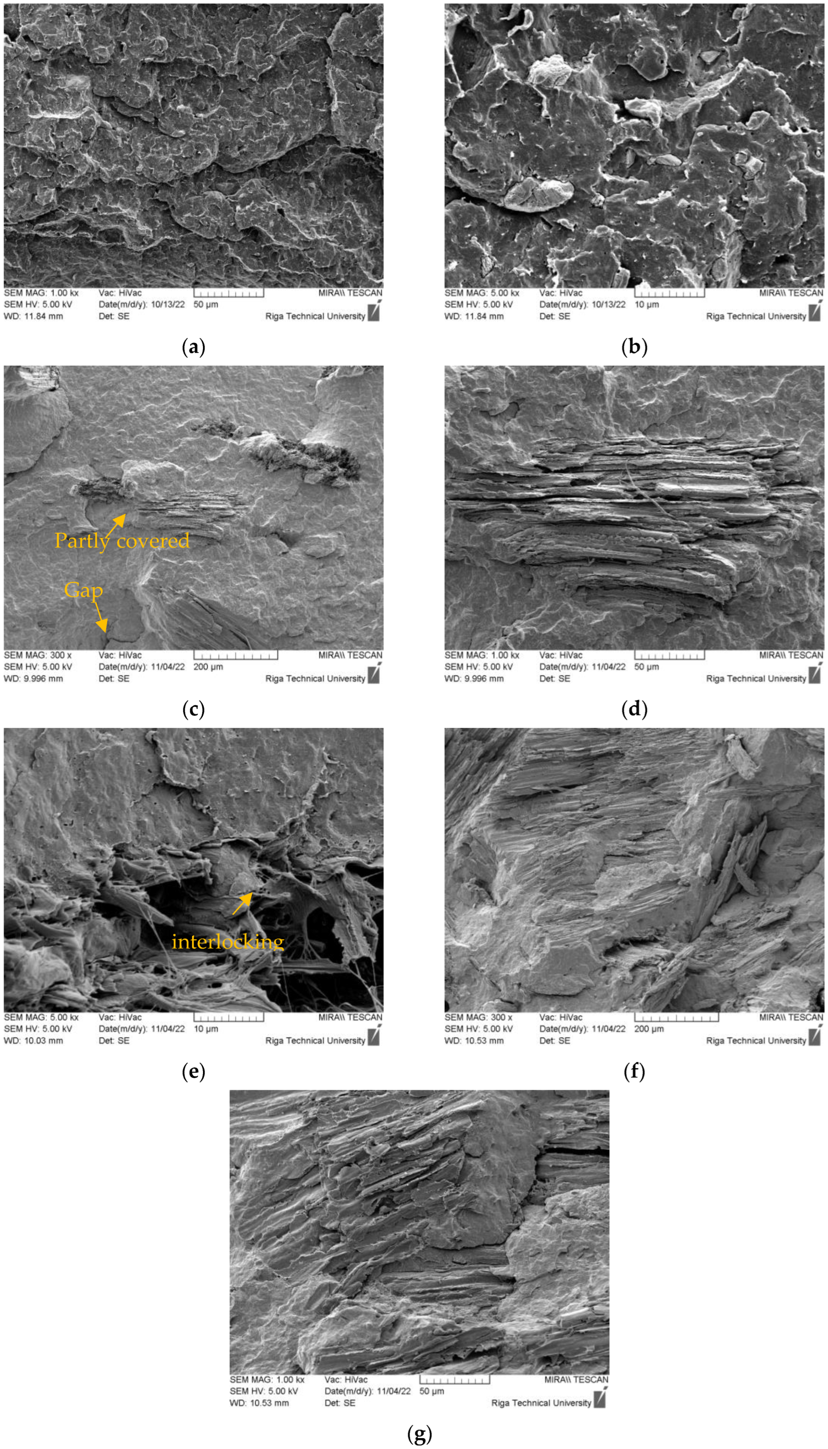 Polymers 15 02672 g003 Polymers 15 02672 g003