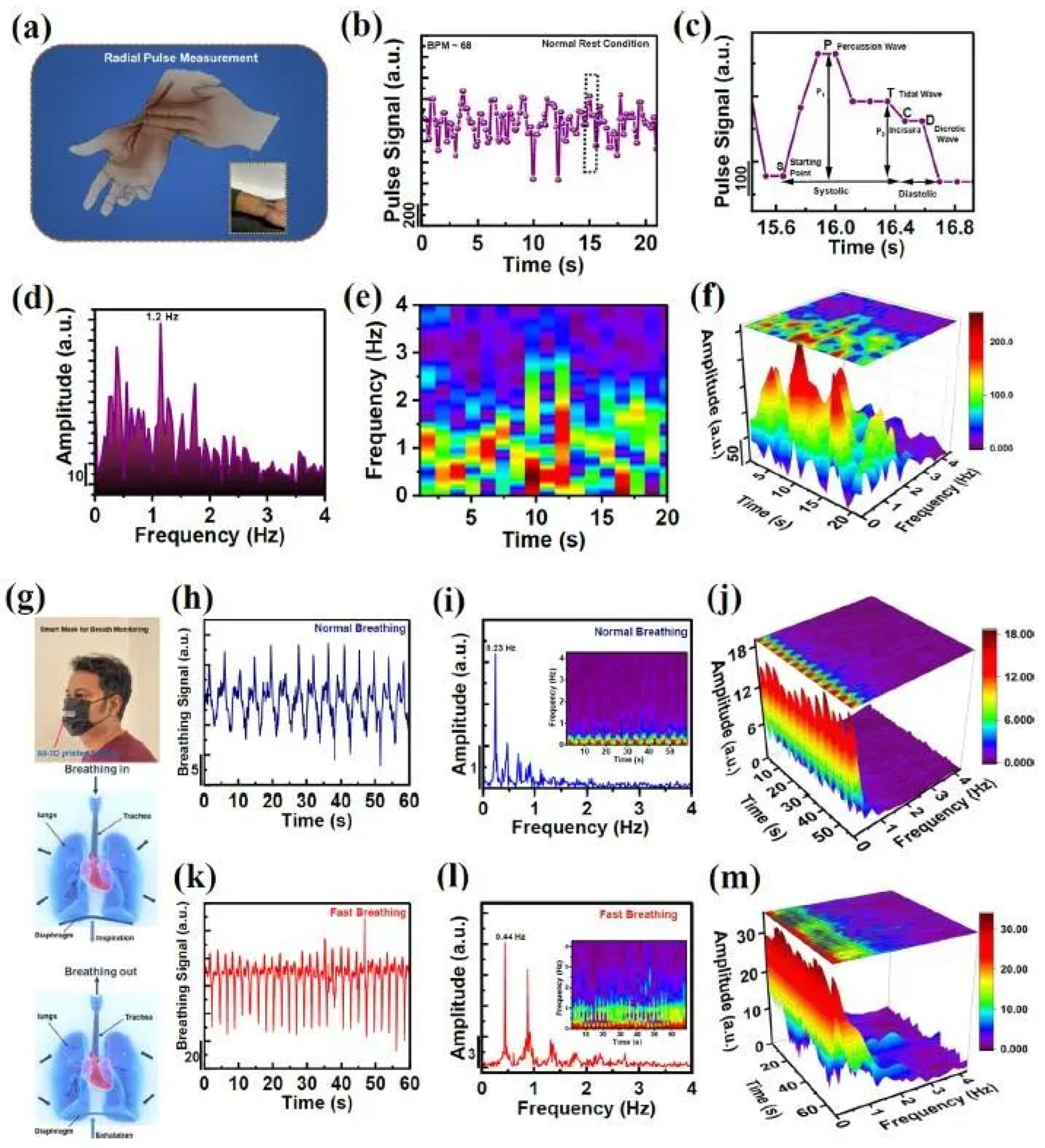 Polymers 15 02692 g012