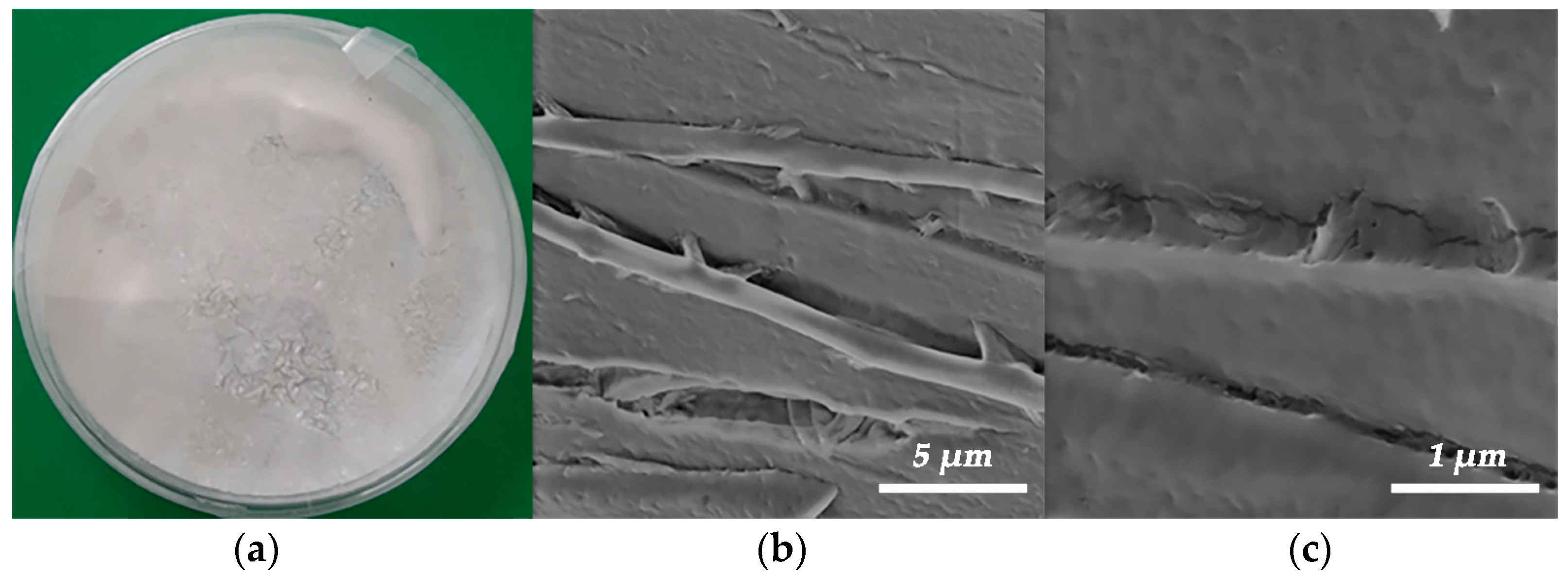 Polymers 15 02729 g005