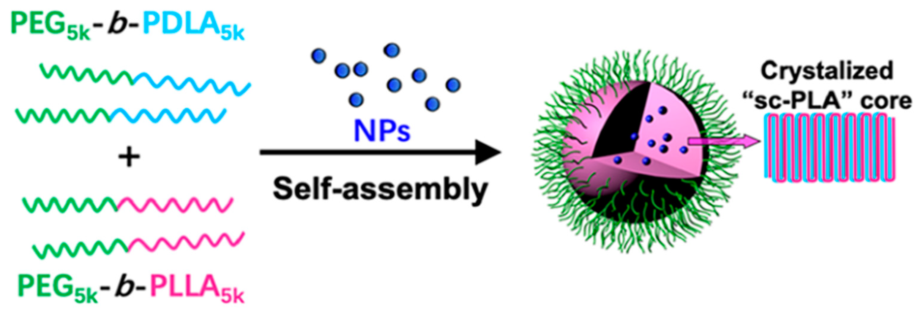 Polymers 15 02730 sch001