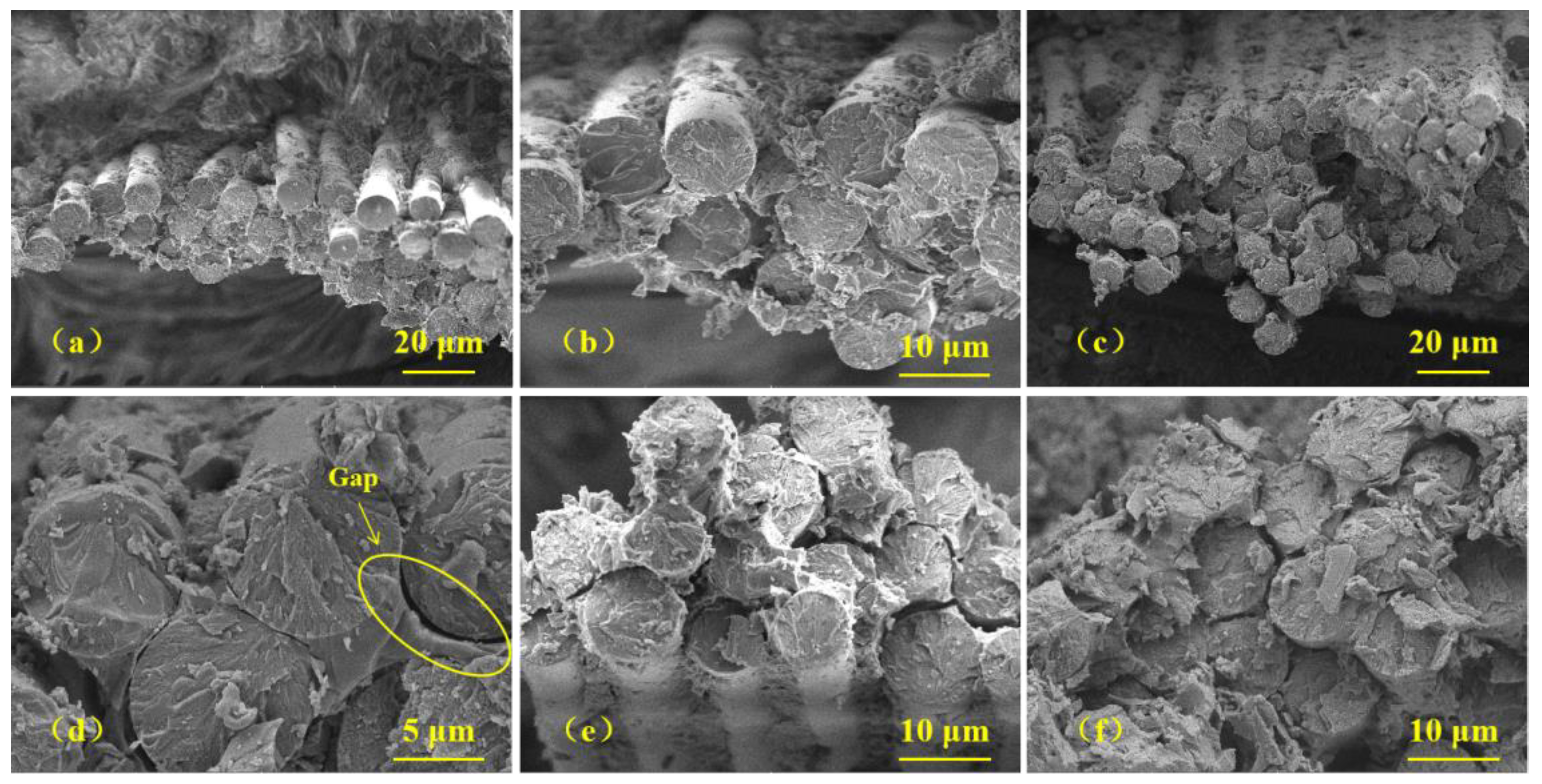 Polymers 15 02734 g004