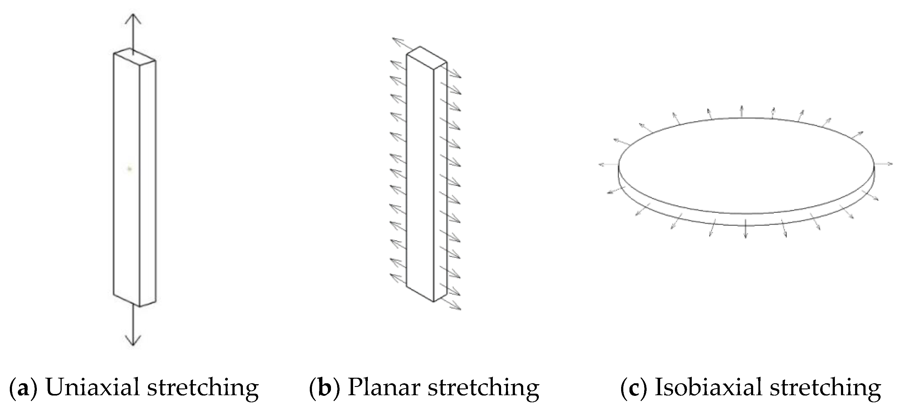 Polymers 15 02746 g009 Polymers 15 02746 g009