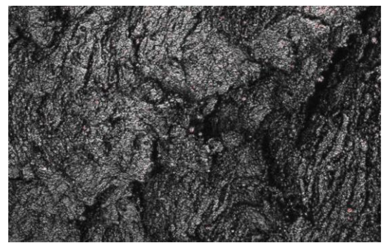 Polymers 15 02746 g029 Polymers 15 02746 g029