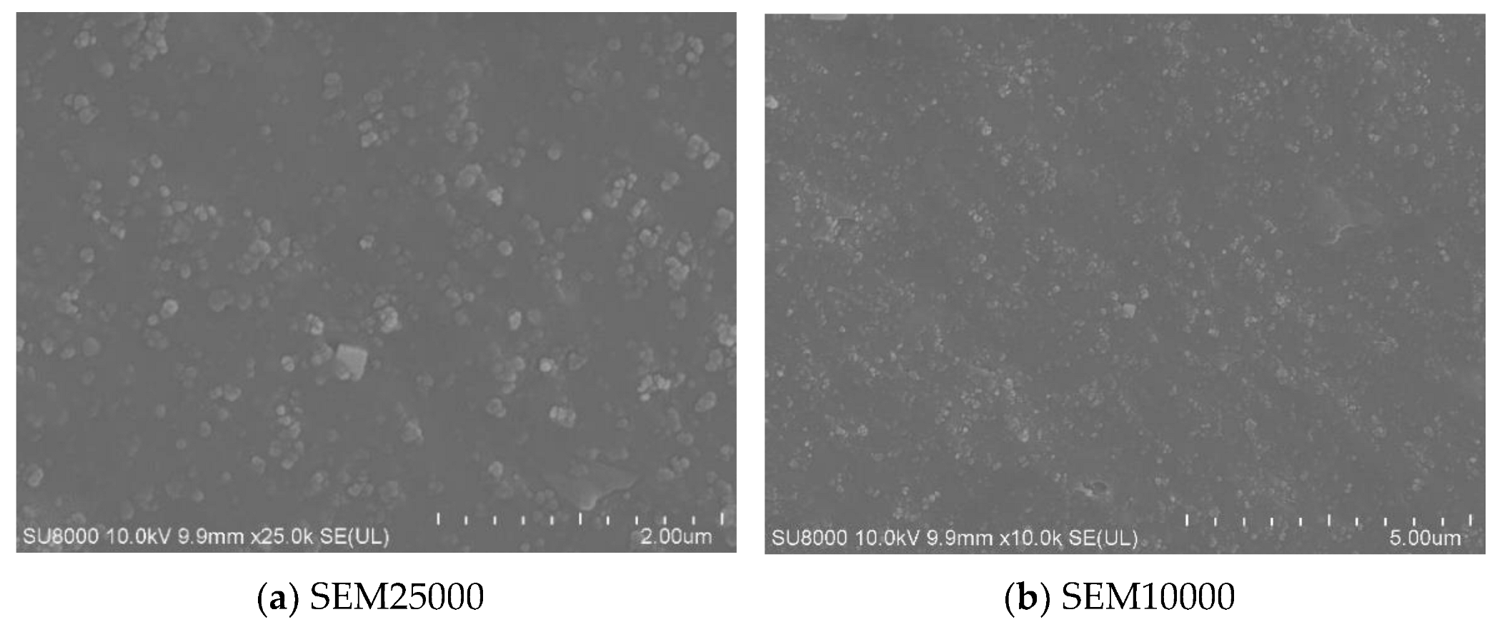 Polymers 15 02746 g031 Polymers 15 02746 g031