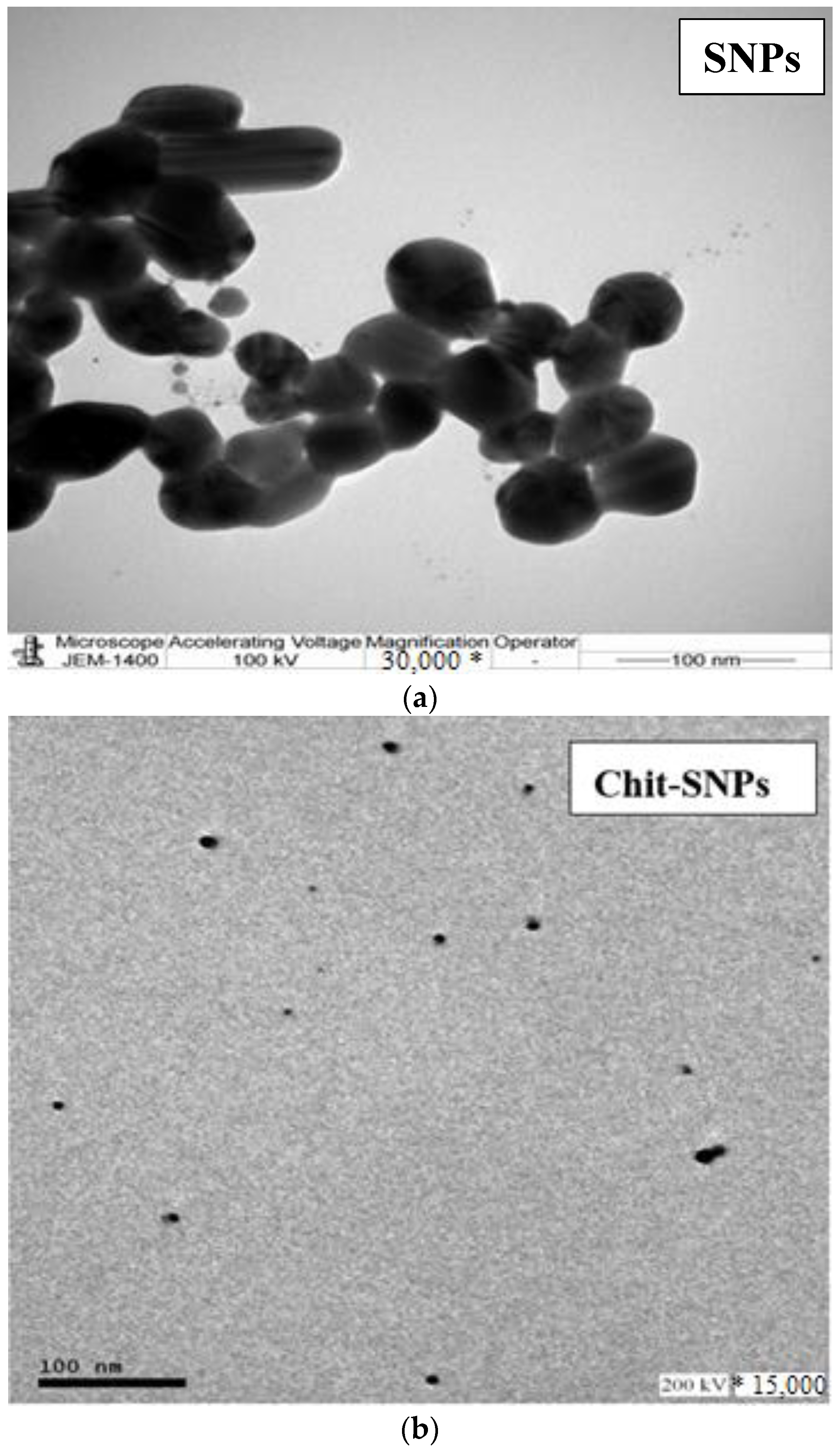 Polymers 15 02759 g003