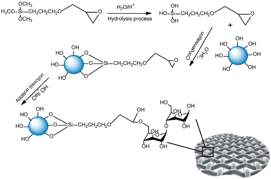 Polymers | Free Full-Text | Sunlight-Driven Photocatalytic Active