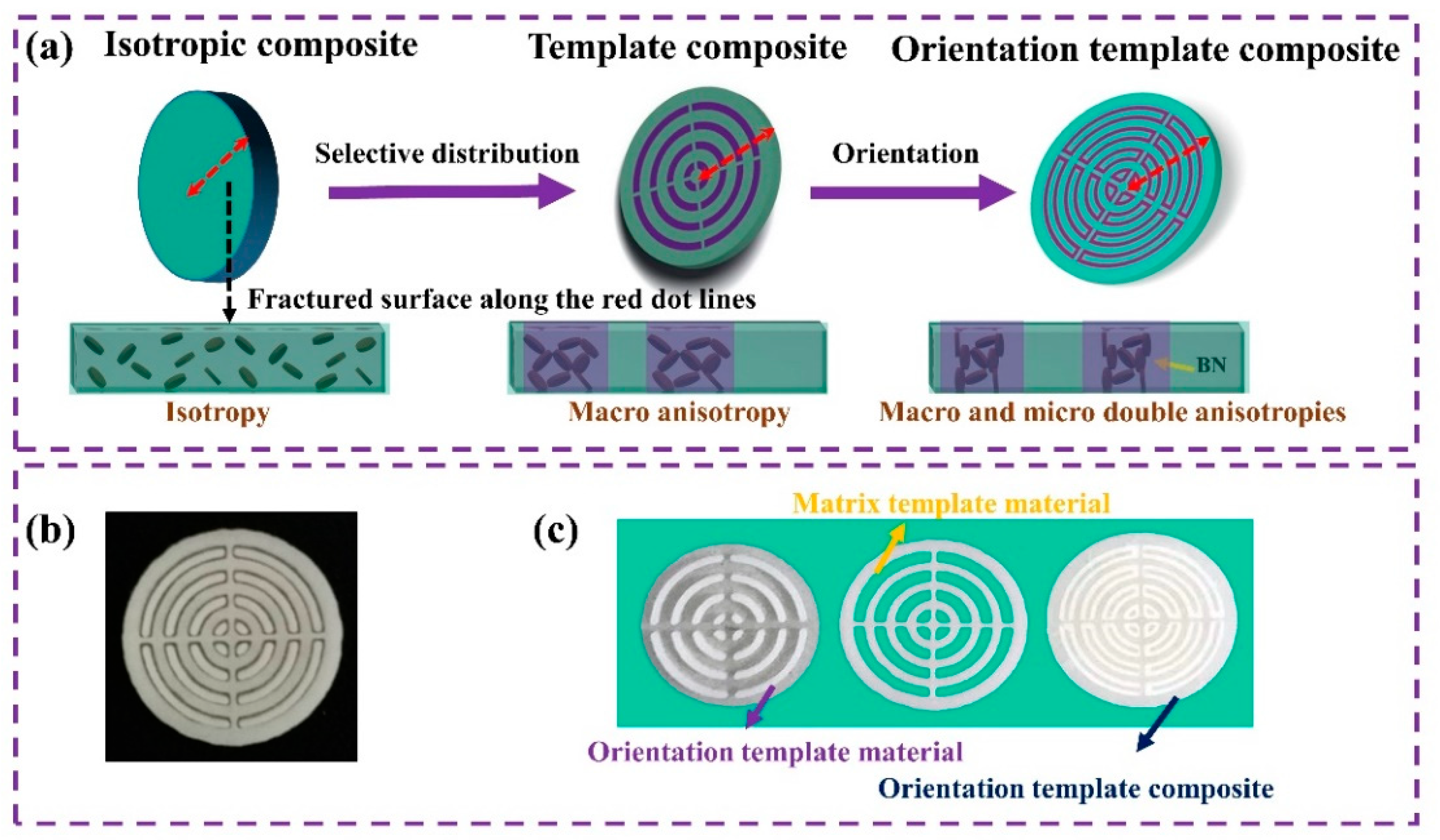 Polymers 15 02780 g002