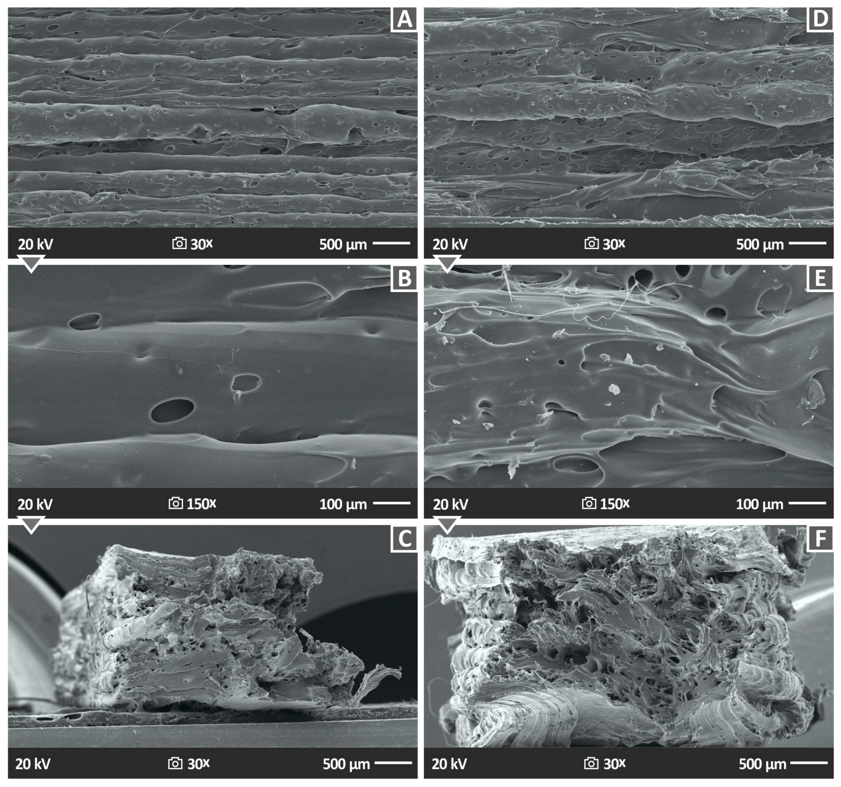 Polymers 15 02786 g014