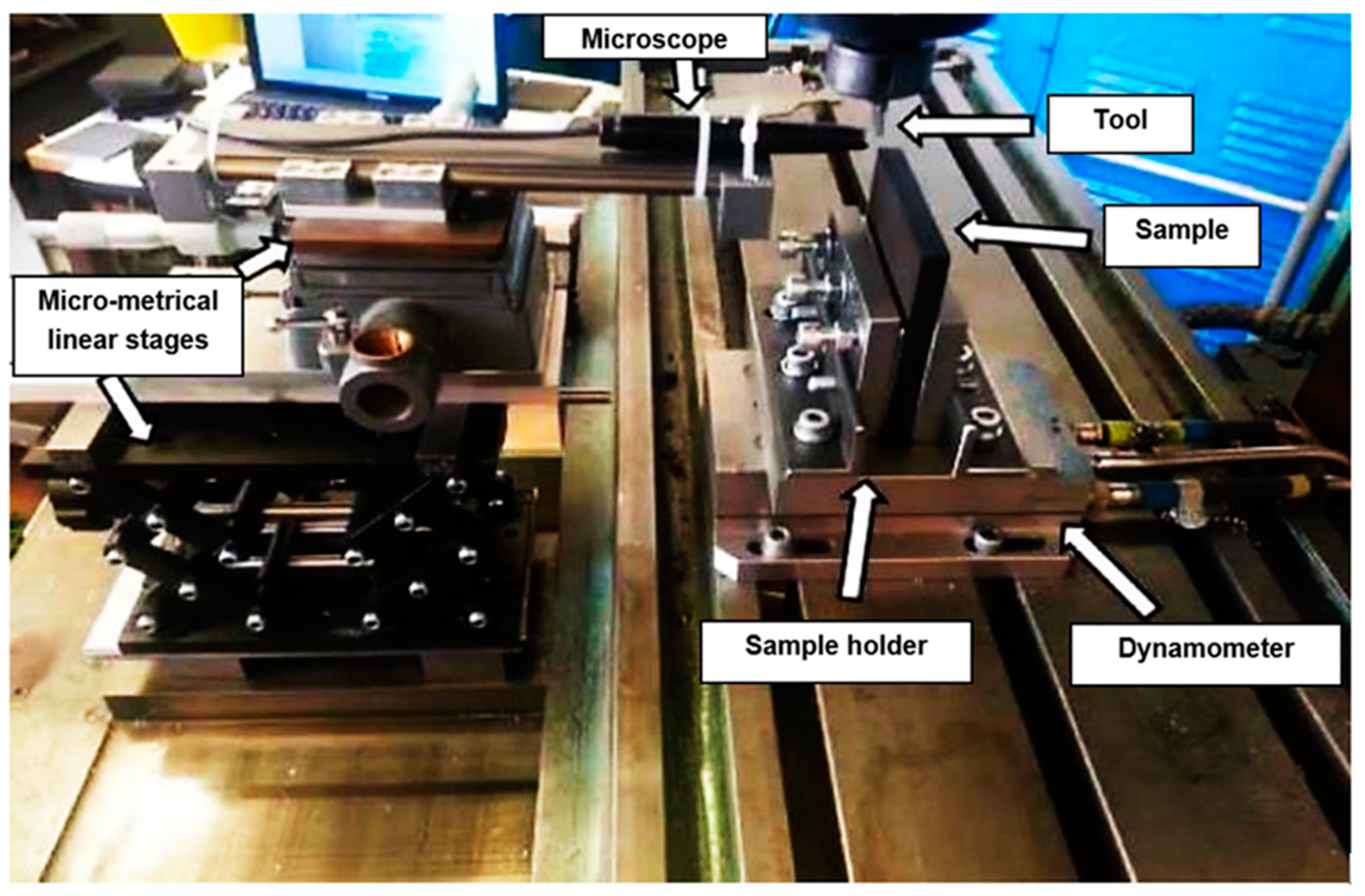 Polymers 15 02789 g006