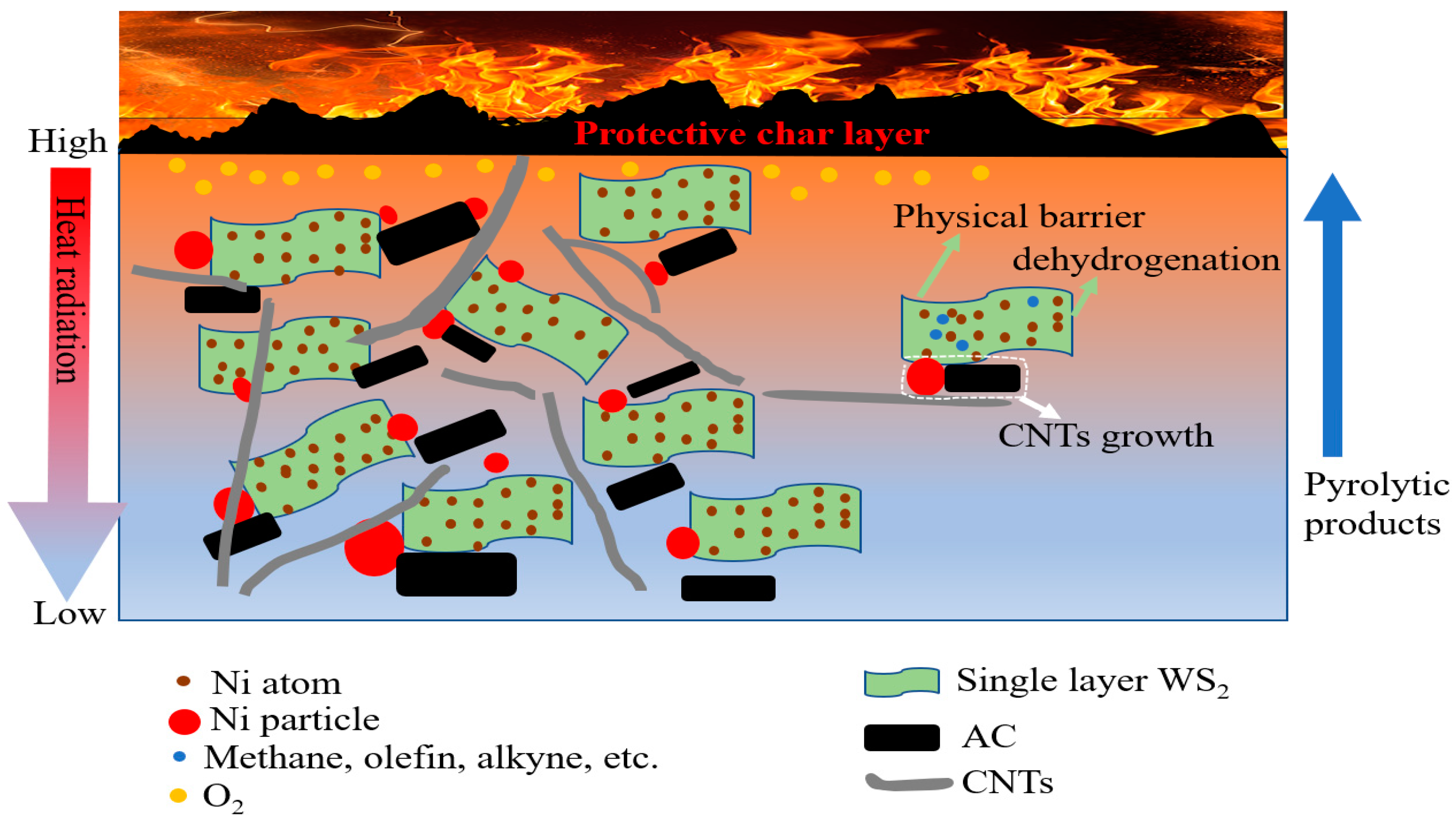 Polymers 15 02791 g010