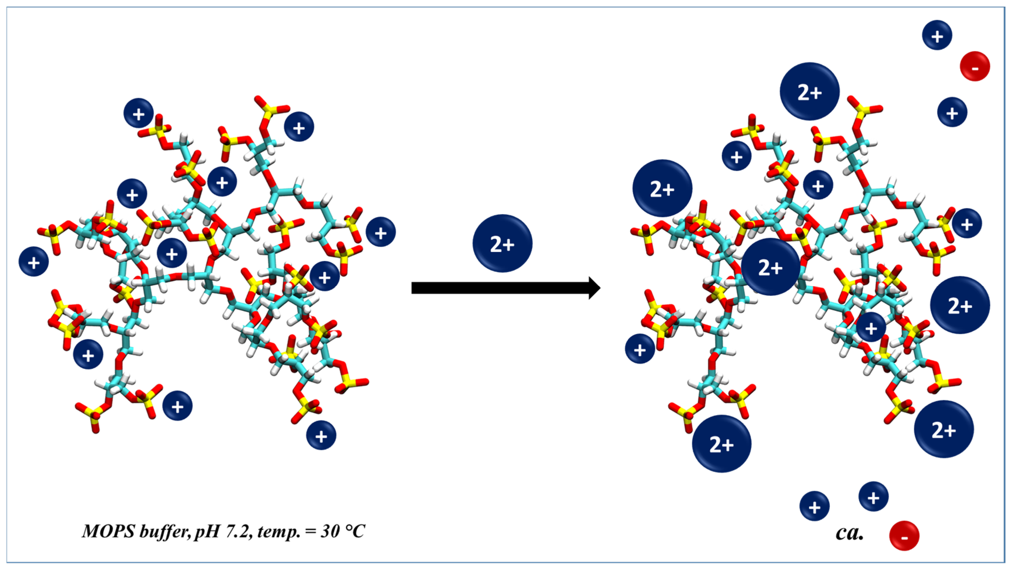 Polymers | Free Full-Text | Adsorption of Mono- and Divalent Ions onto  Dendritic Polyglycerol Sulfate (dPGS) as Studied Using Isothermal Titration  Calorimetry