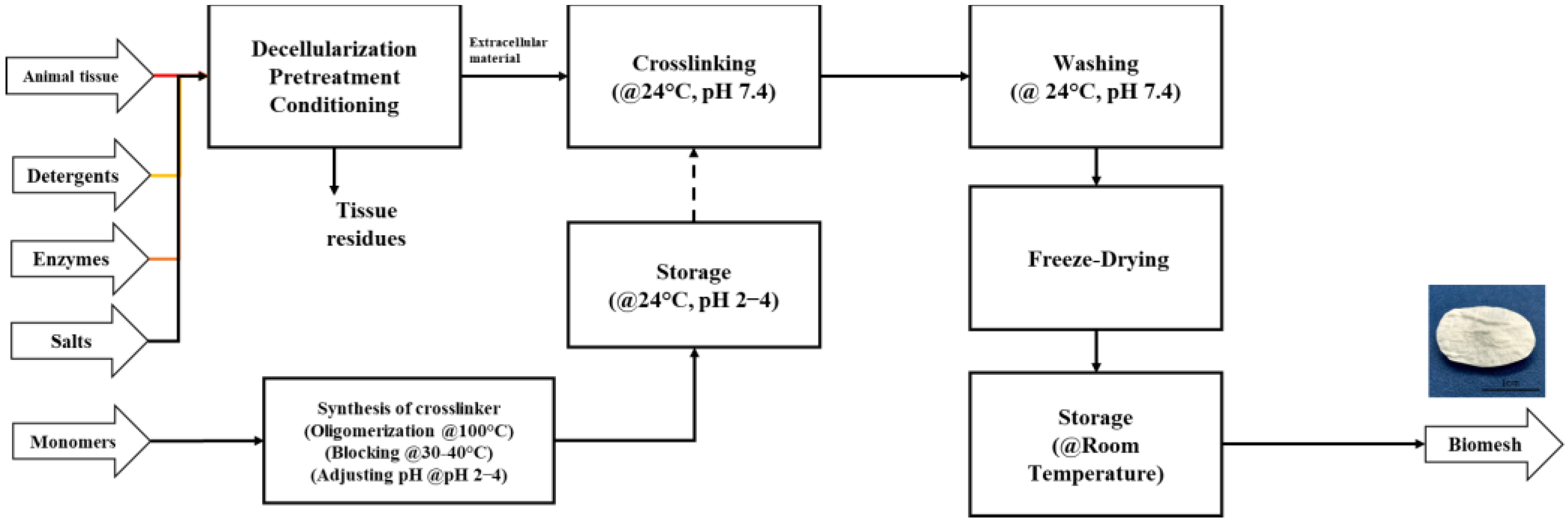 Polymers 15 02797 g001