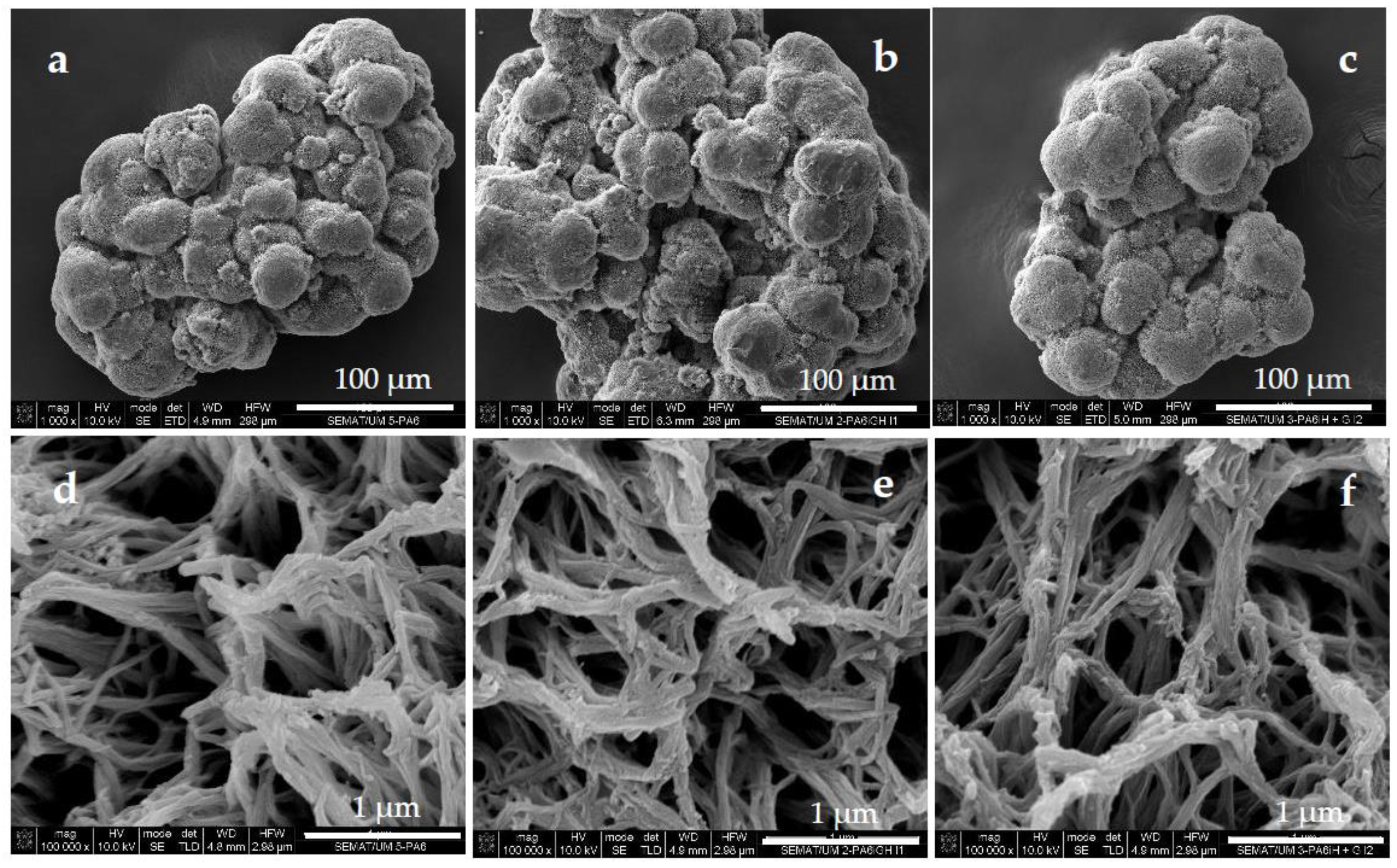 Polymers 15 02802 g002