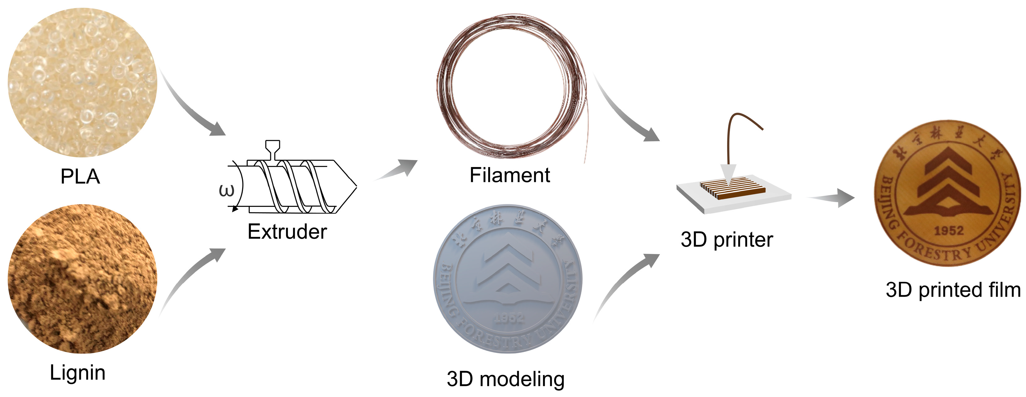 Polymers 15 02806 sch001
