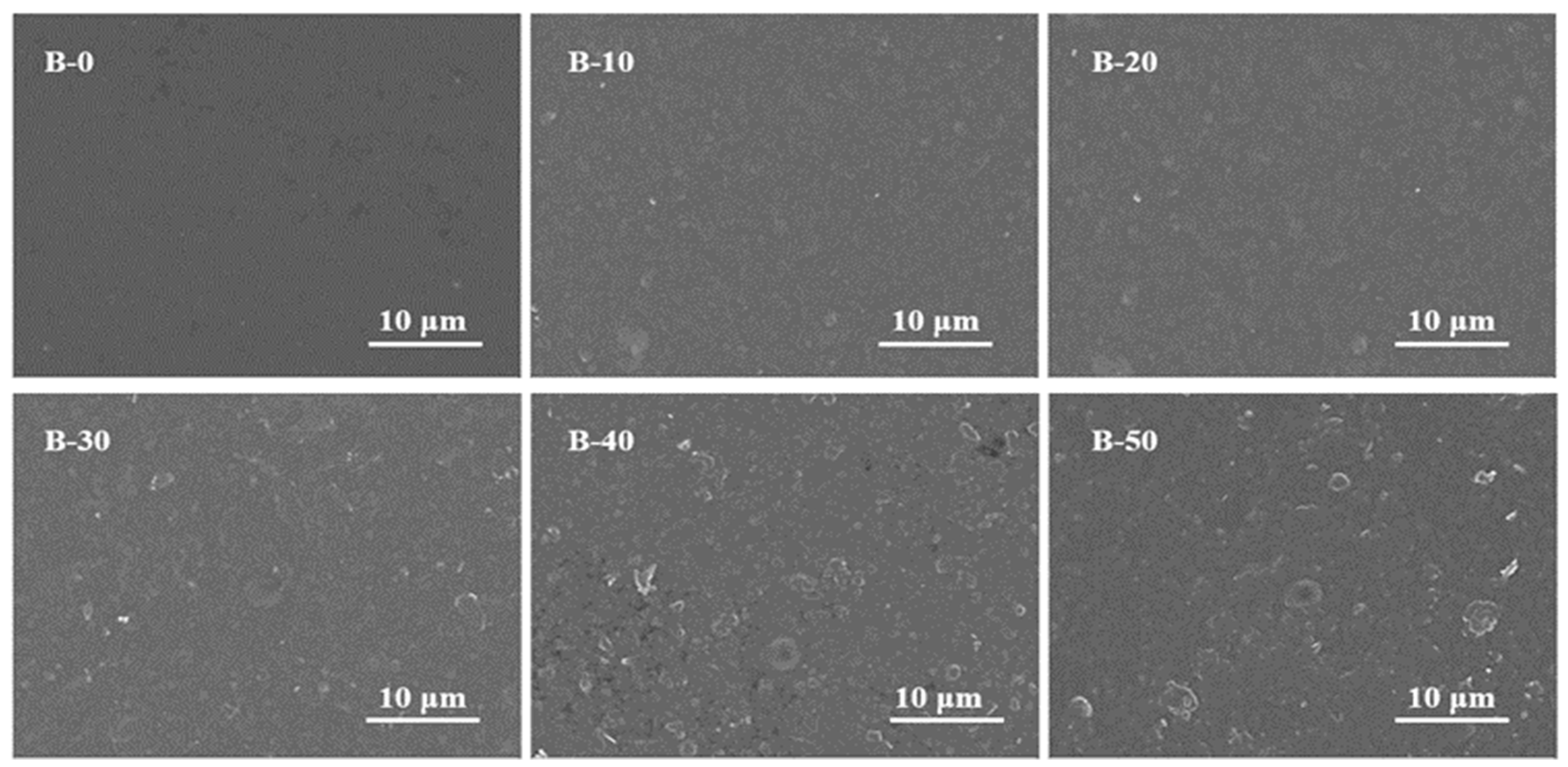Polymers 15 02811 g003 Polymers 15 02811 g003