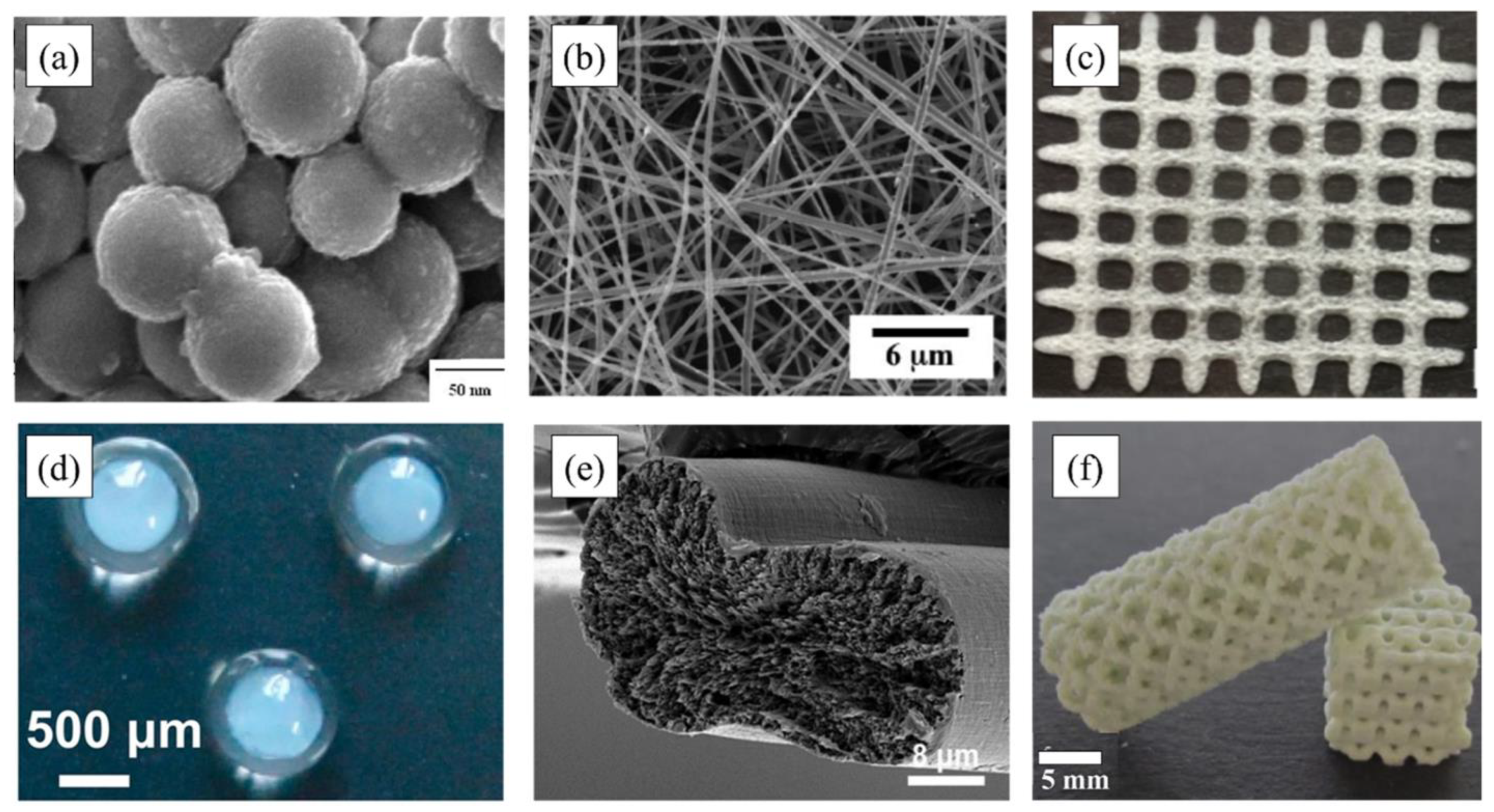 Polymers 15 02820 g002 Polymers 15 02820 g002