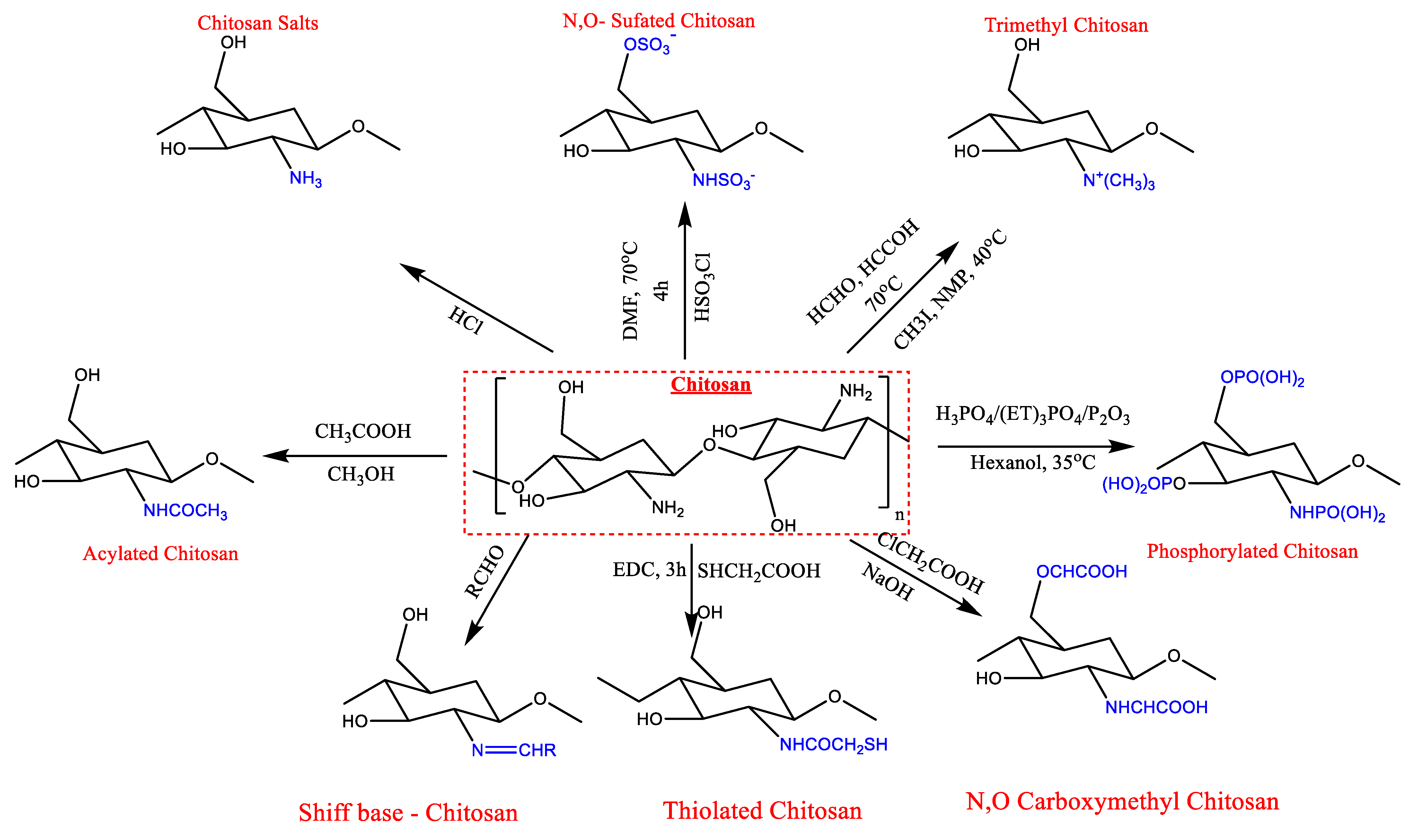 Polymers 15 02820 g003 Polymers 15 02820 g003